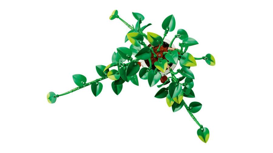 COSTRUZIONI LEGO 11512 Botanicals - Potos