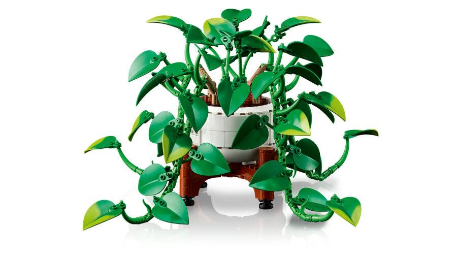 COSTRUZIONI LEGO 11512 Botanicals - Potos