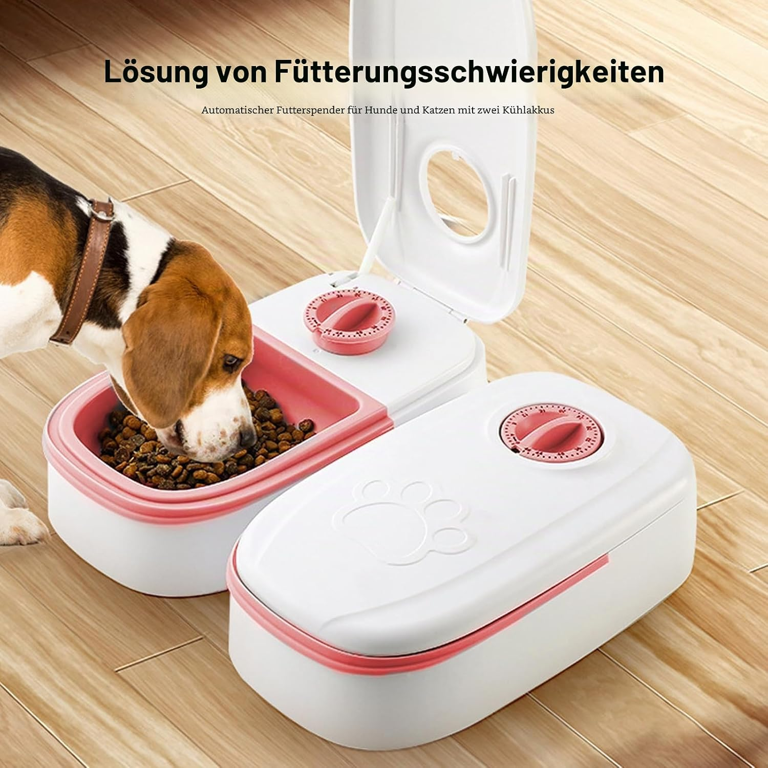 Ein Beagle frisst aus einem automatischen Futterautomaten auf Holzboden.