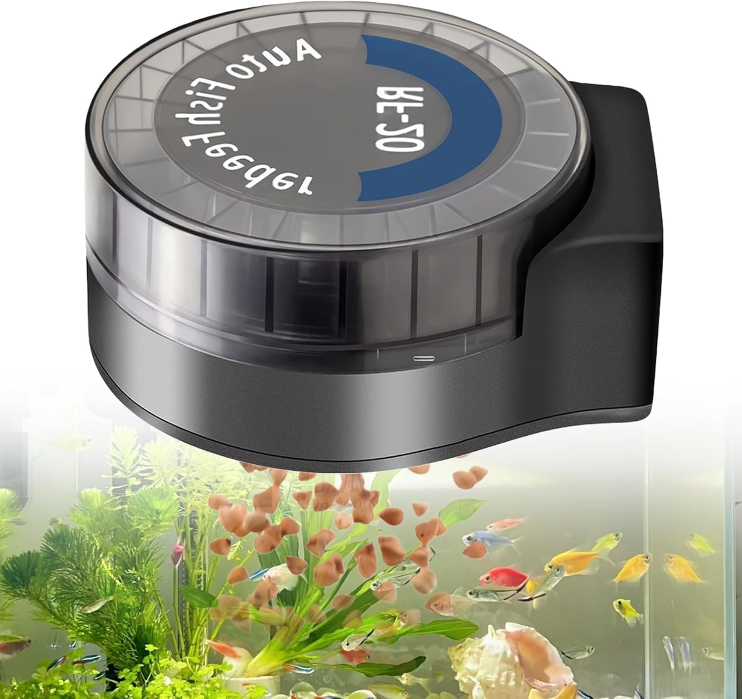 Ein automatischer schwarzer Fischfutterautomat ist über einem Aquarium mit Fischen und Pflanzen montiert.