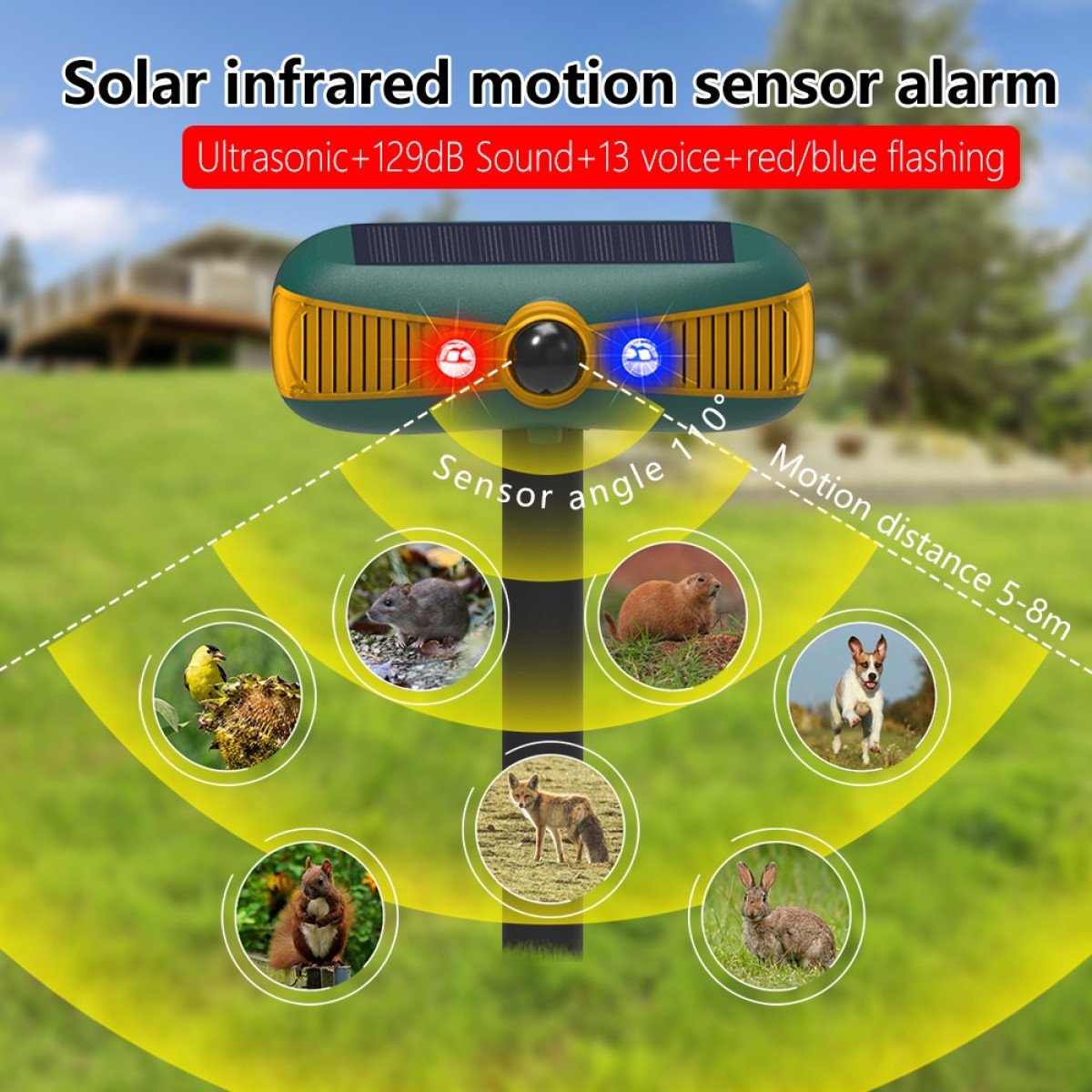 Solar-Infrarot-Bewegungsmelder mit Alarm, der verschiedene Tiere wie Ratten, Vögel und Füchse abschreckt.