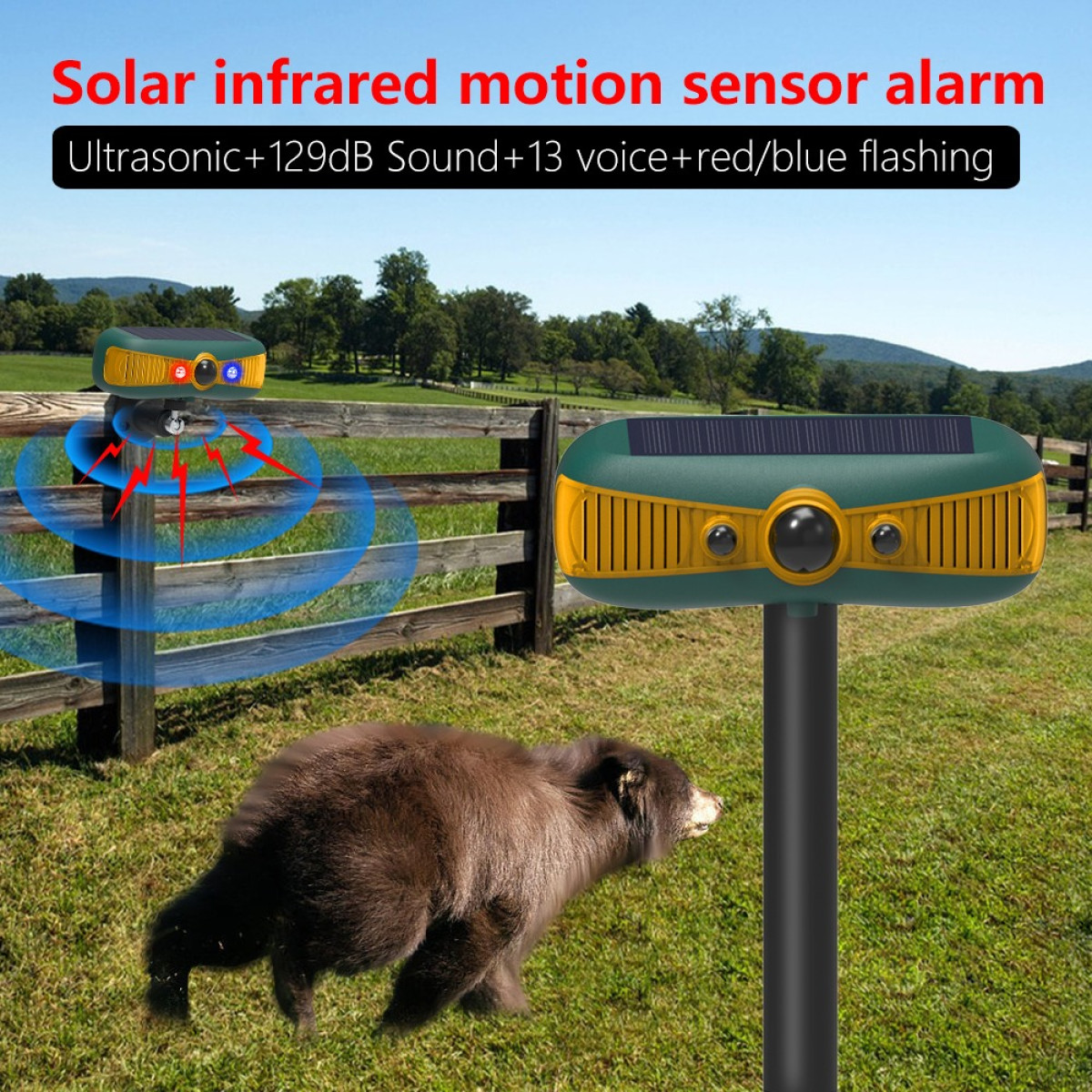 Solar-Infrarot-Bewegungsmelder-Alarm vor einer ländlichen Kulisse mit einem Bären auf der Wiese.