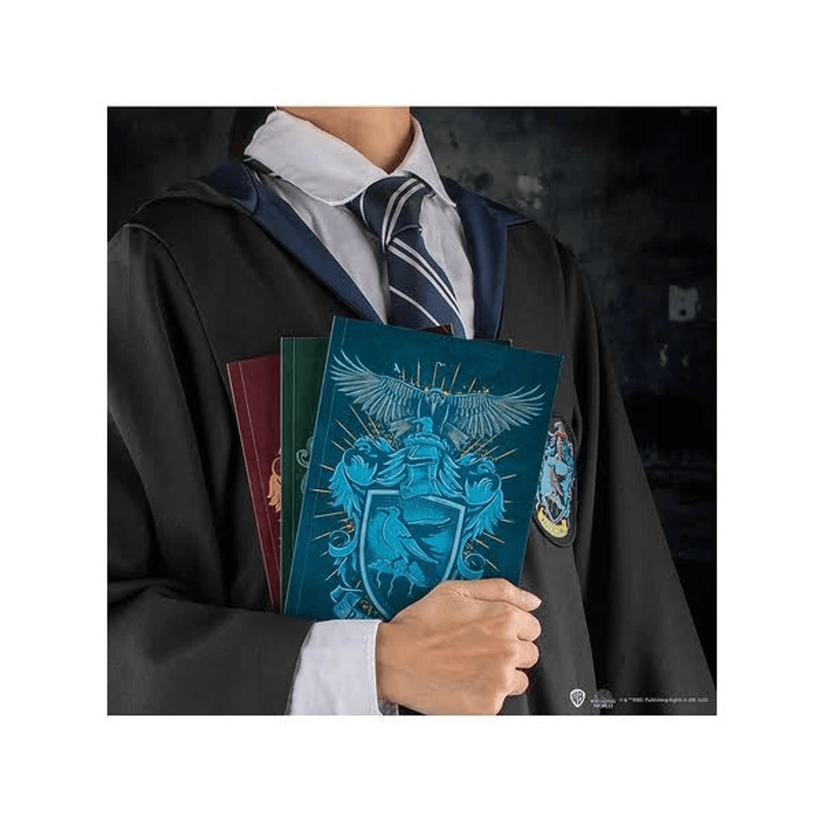 Eine Person im Hogwarts-Umhang hält drei Bücher mit Schulwappen.