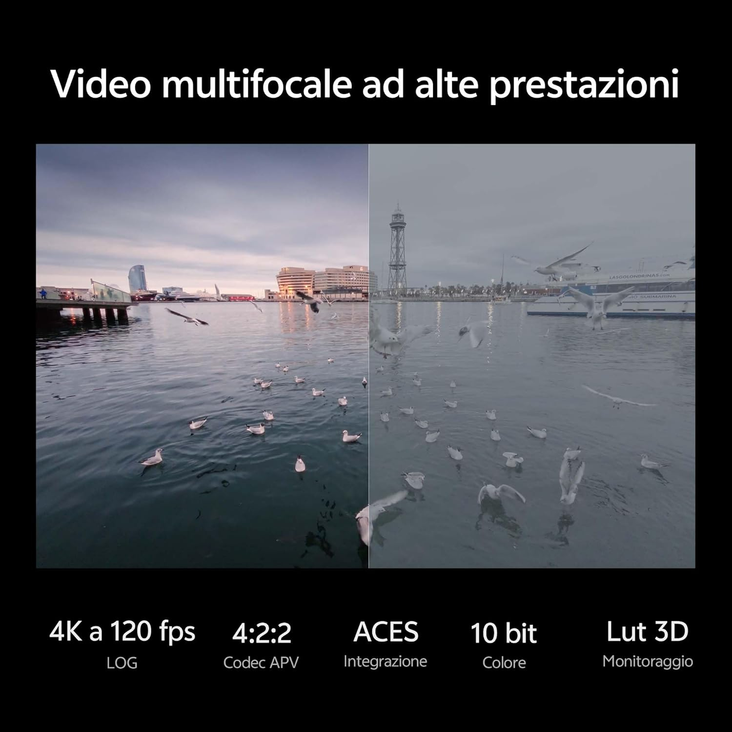 Demo di confronto video multifocale con gabbiani sull'acqua in una città portuale.