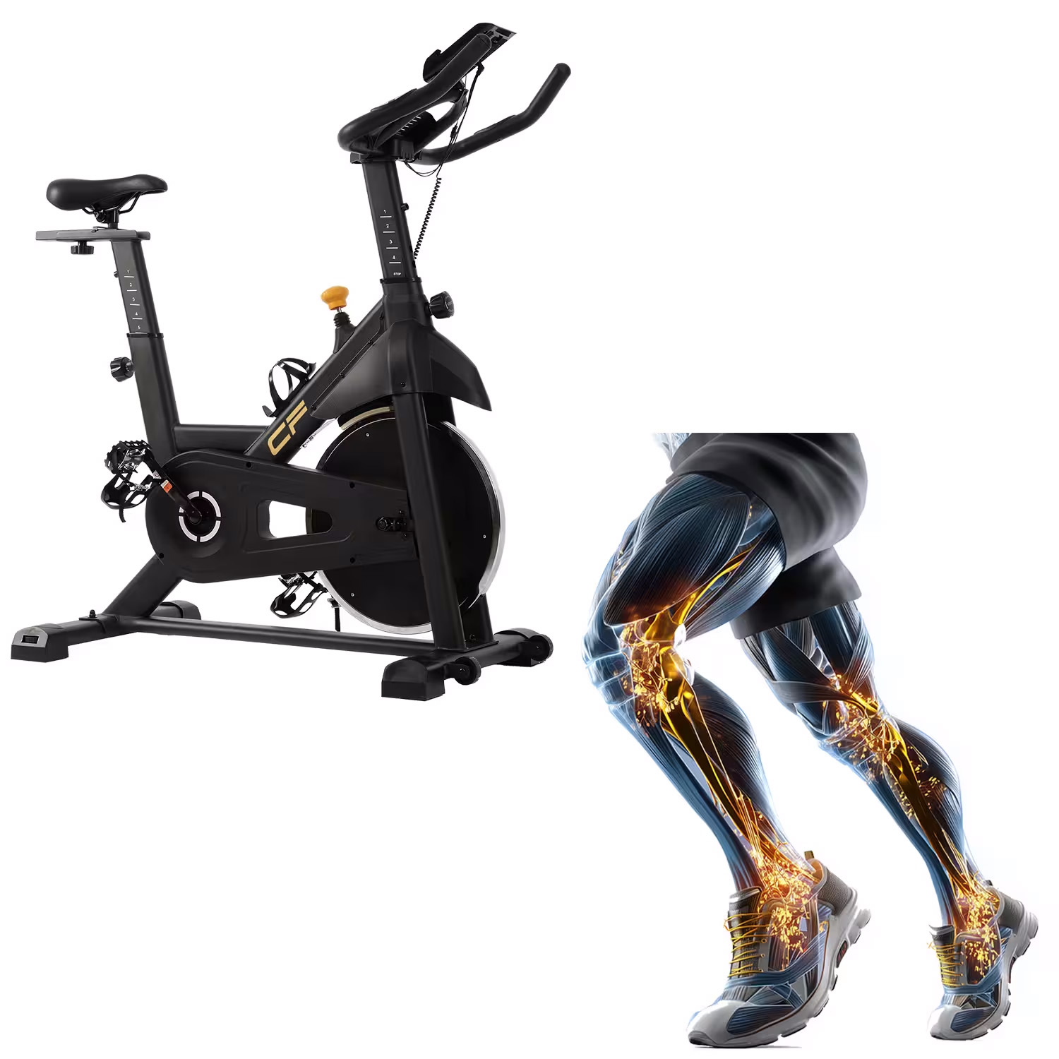 Ein schwarzes Heimtrainer-Fahrrad und ein Diagramm, das Beinmuskeln beim Laufen zeigt.