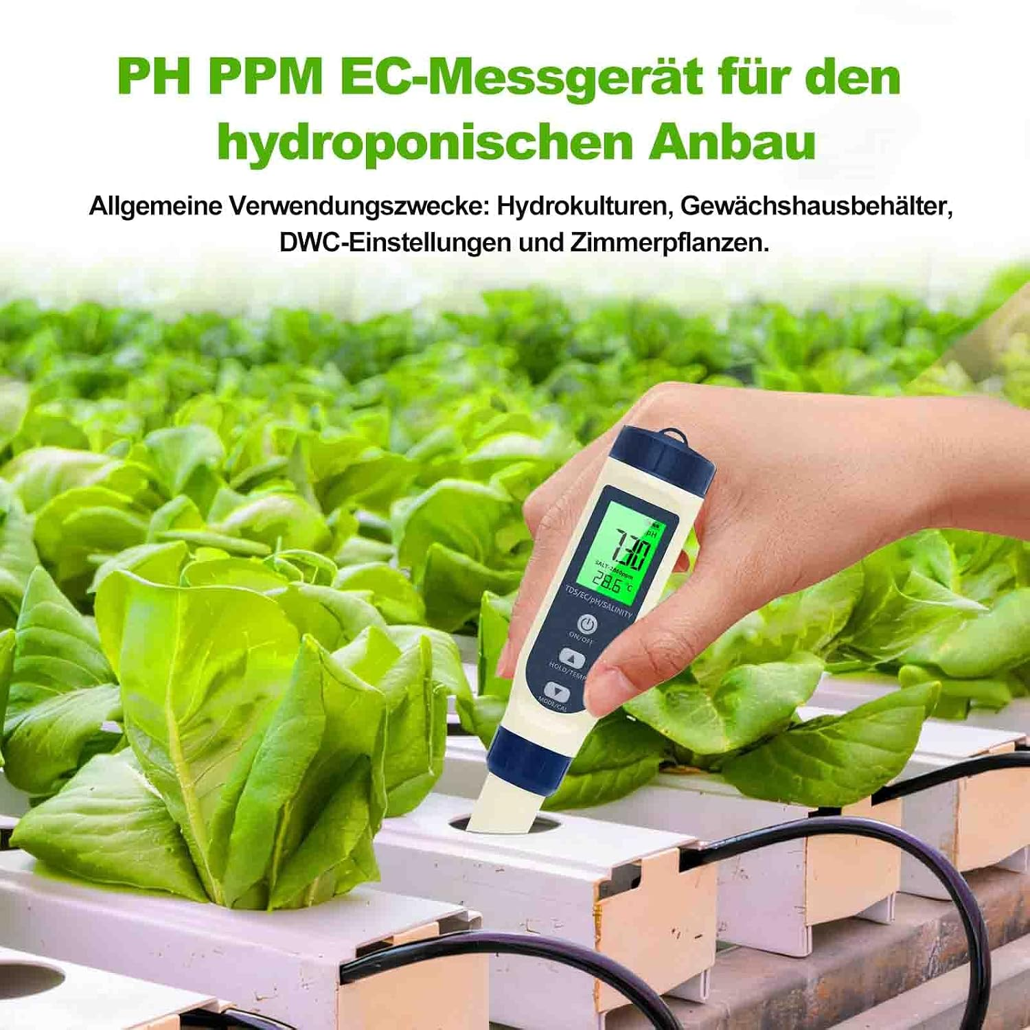 Hand hält PH-, PPM- und EC-Messgerät in einem hydroponischen Gewächshaus mit grünem Salat.