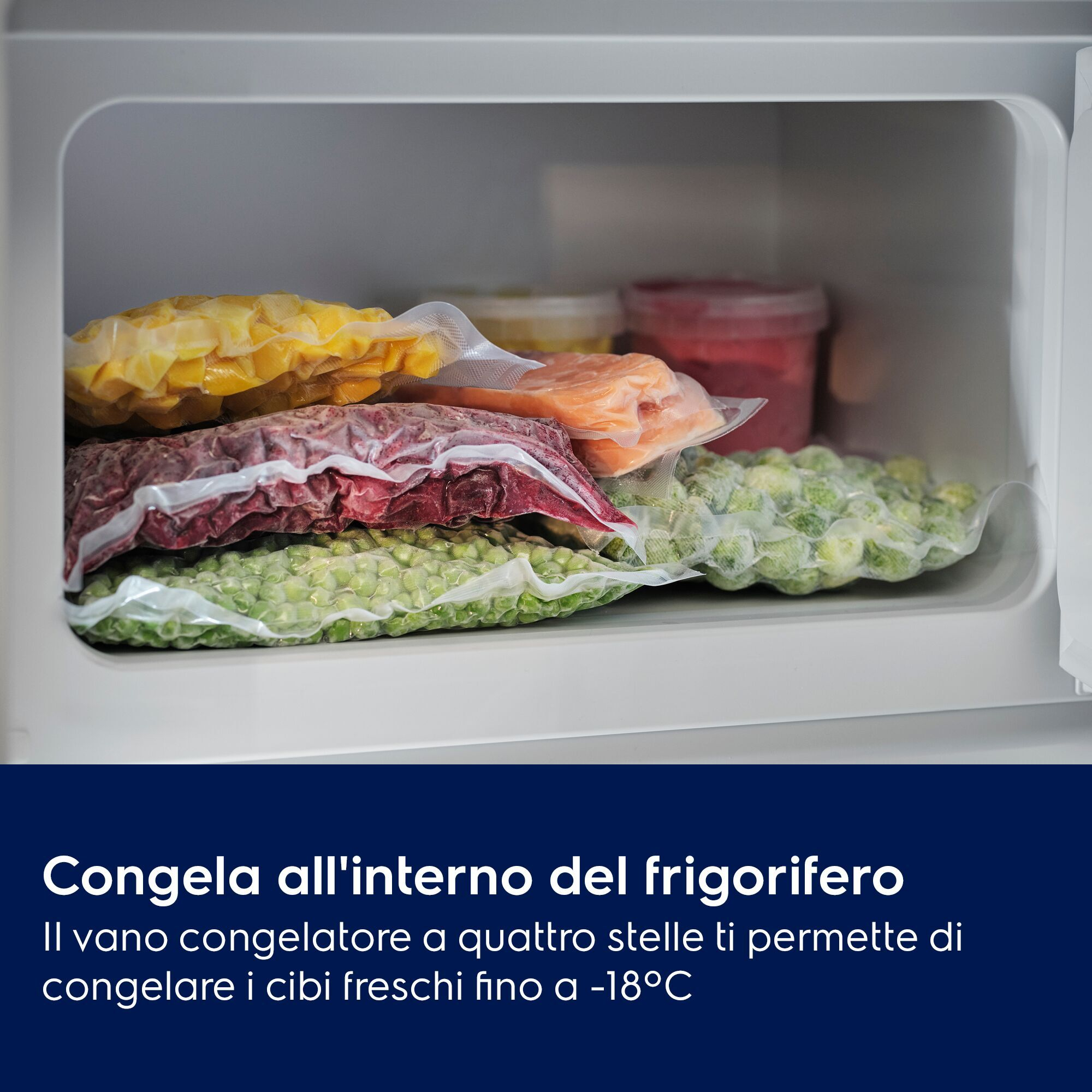 Ein offenes Gefrierfach gefüllt mit vakuumierten Beuteln mit gefrorenem Obst, Gemüse und Fleisch.