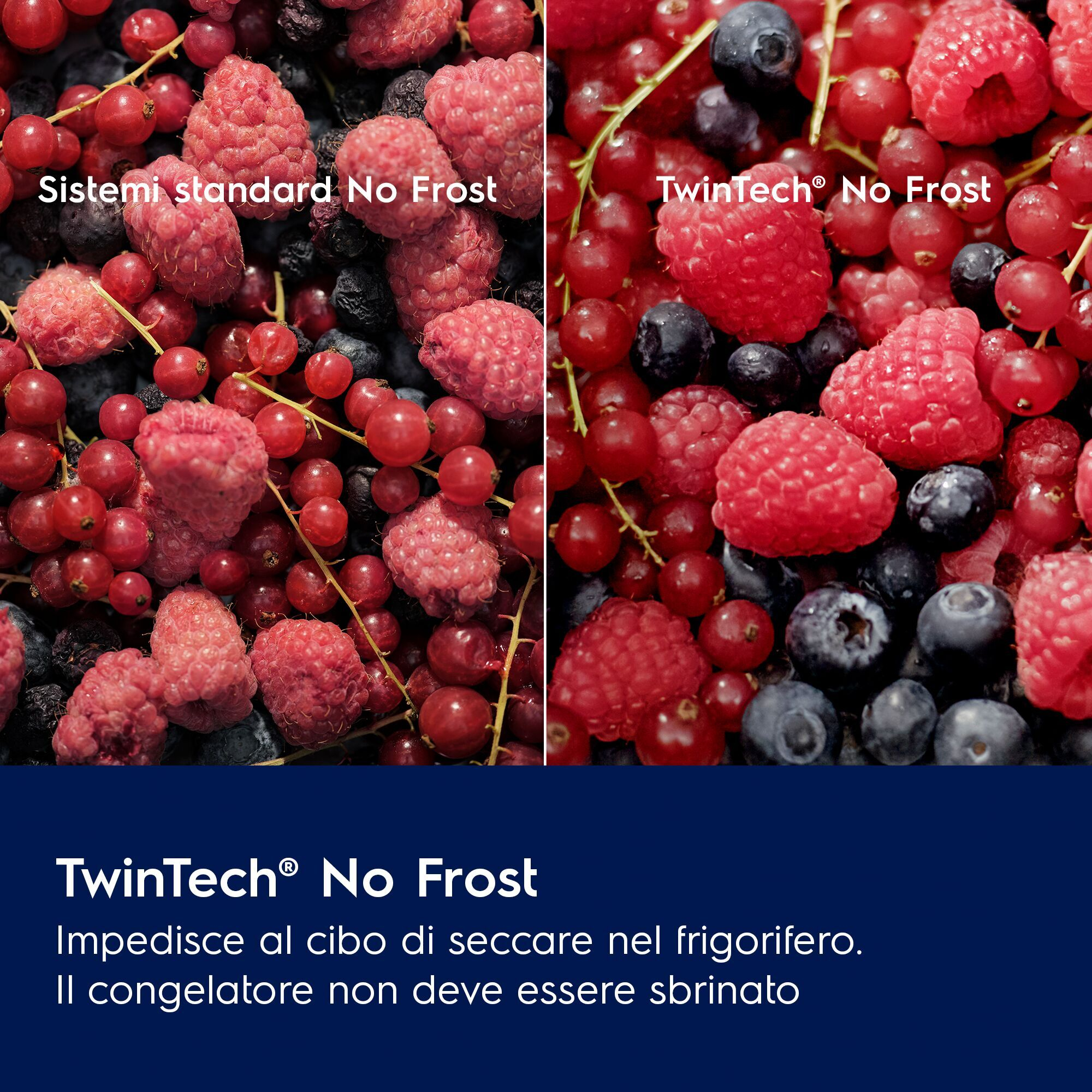 Confronto di bacche fresche con testo per i sistemi No Frost.