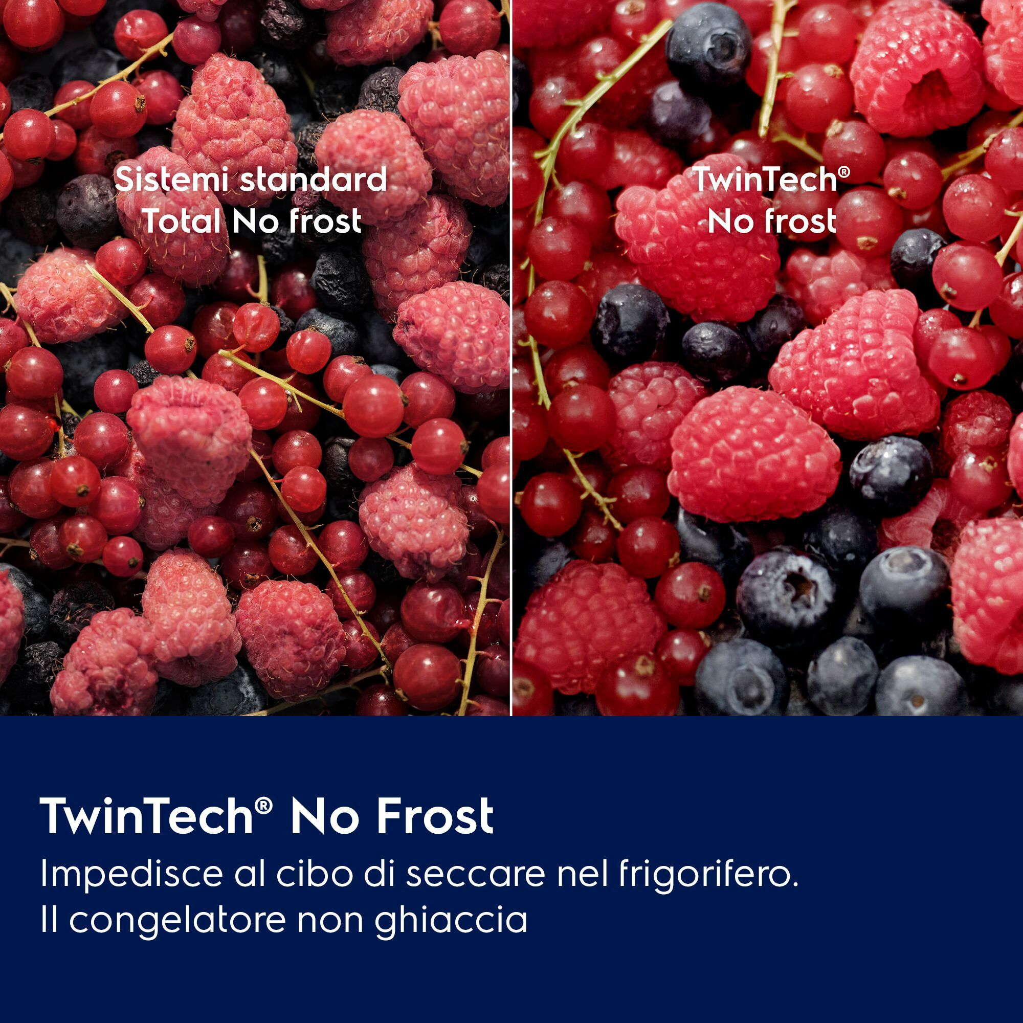 Confronto di bacche congelate: aspetto brinato a sinistra, bacche fresche a destra.