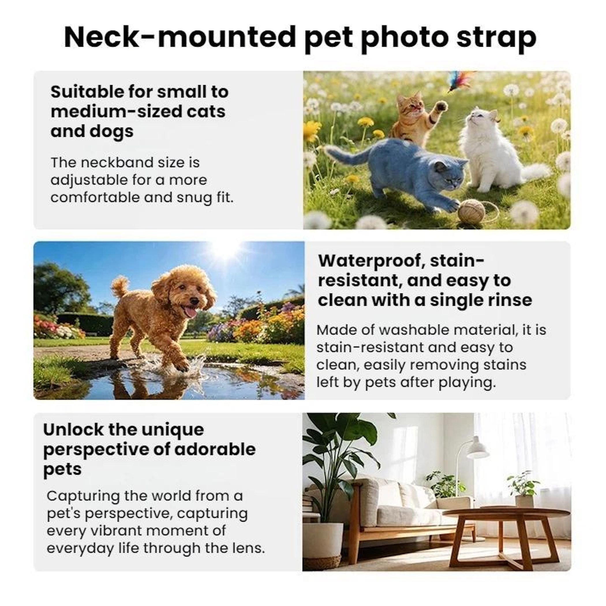 Eine informative Anzeige für einen Hals-Haustierfotogurt mit Katzen und Hunden in der Natur.