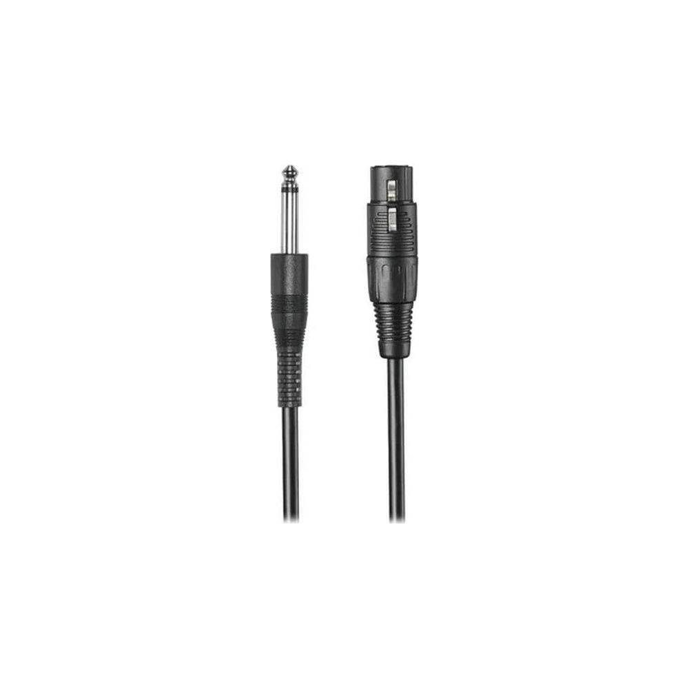 Due cavi audio neri con jack e connettore XLR su sfondo chiaro.