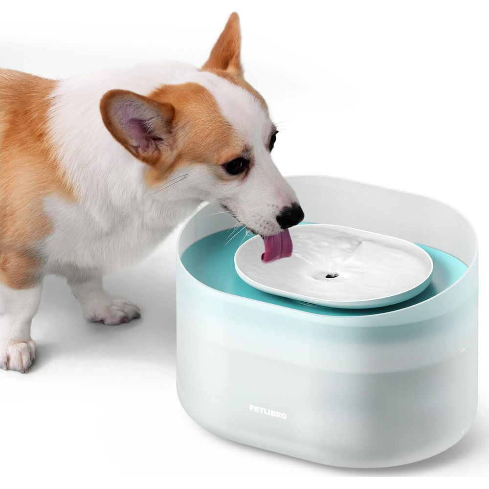 Ein Corgi trinkt Wasser aus einem modernen, weiß-hellblauen Petlibro Haustierbrunnen vor weißem Hintergrund.