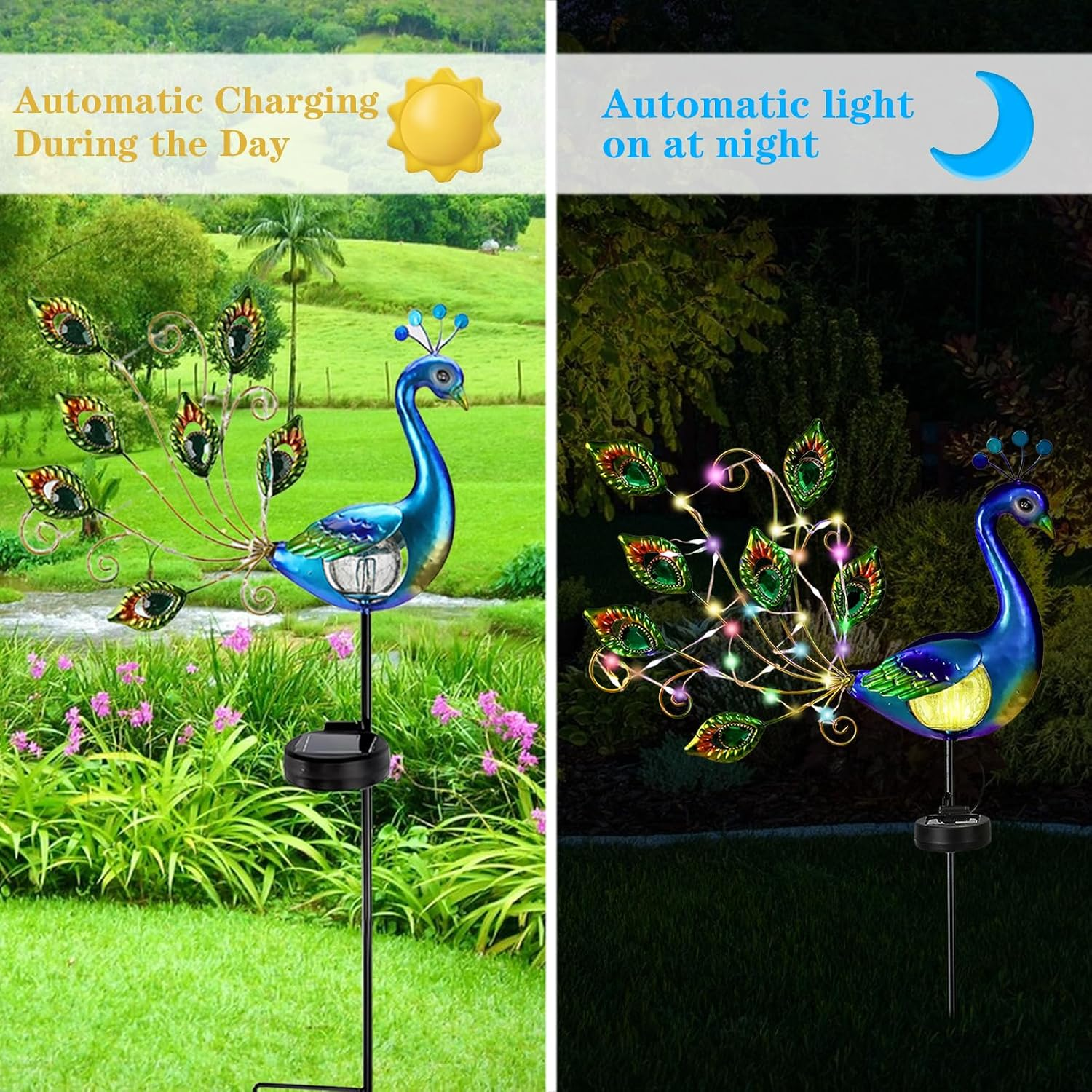 Solarlampe in Pfauenform mit Tag- und Nachtansicht im Garten.