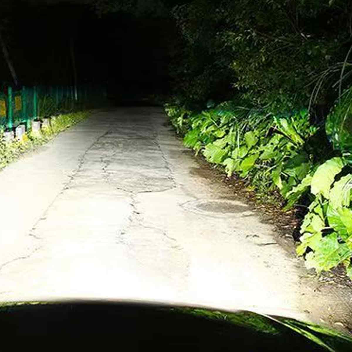 Eine von Autoscheinwerfern beleuchtete, dunkle Straße bei Nacht, umgeben von grüner Vegetation.