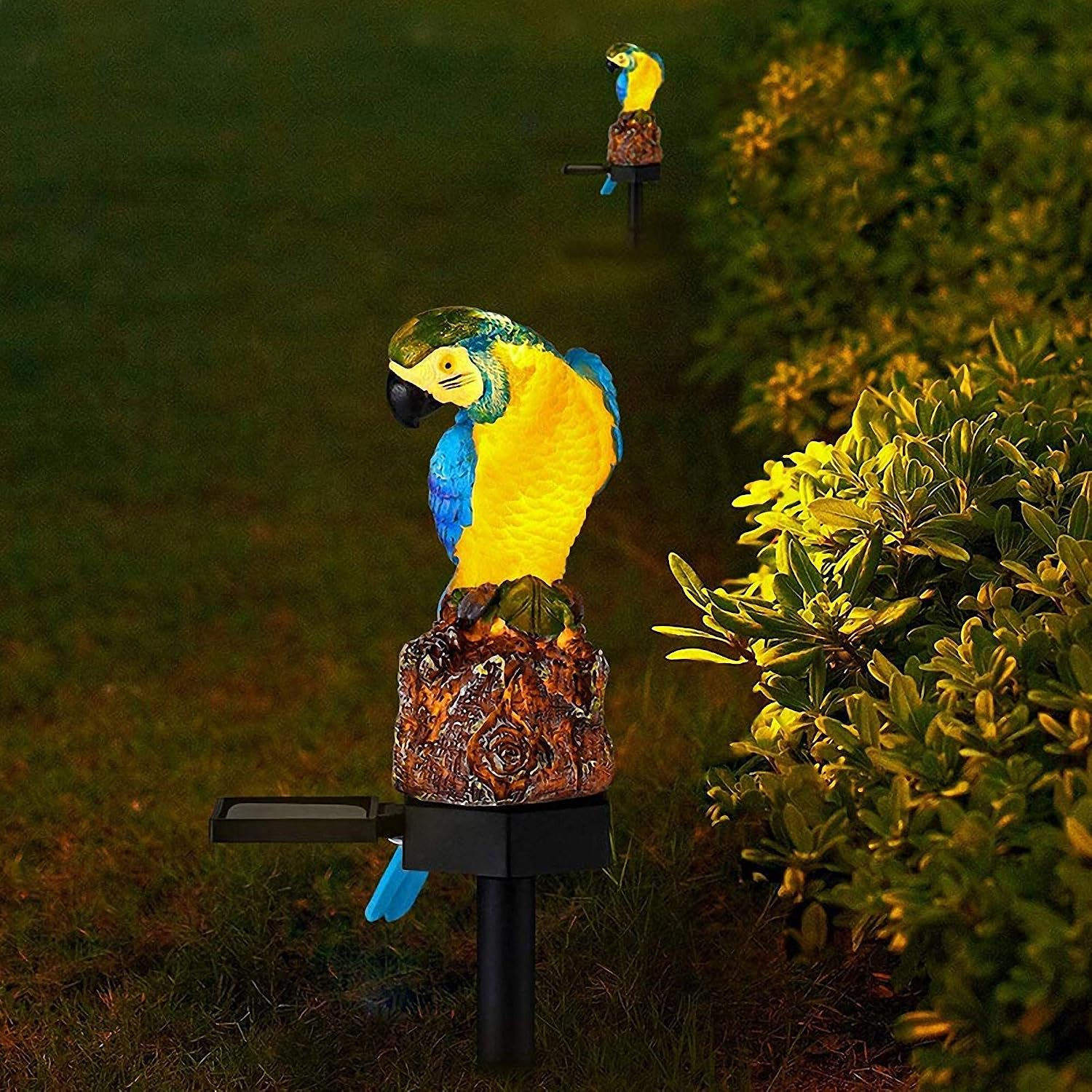 Zwei leuchtend blau-gelbe Papageien-Solarleuchten stehen auf Stöcken in einem dunklen Rasen.