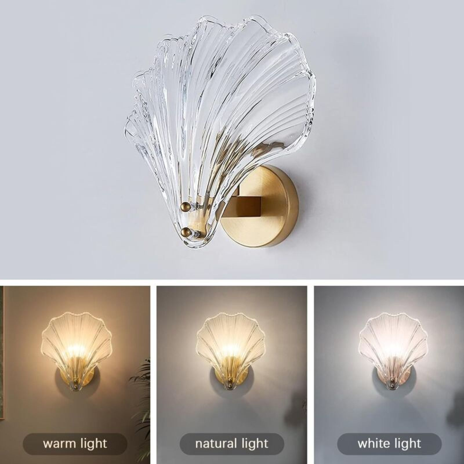 Muschelförmige Wandlampe aus Glas mit goldener Halterung, gezeigt mit warmem, natürlichem und weißem Licht.