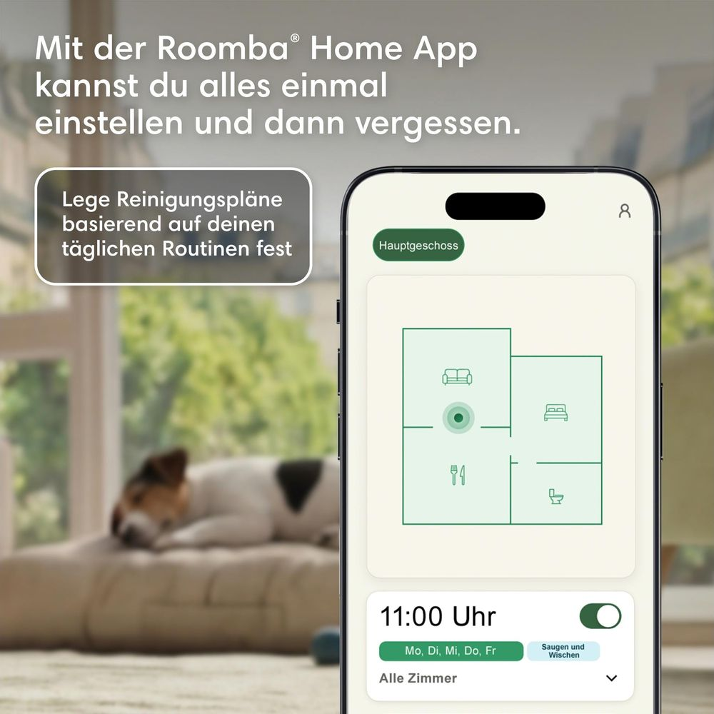 Un smartphone affiche une application de nettoyage, un chien dort en arrière-plan.