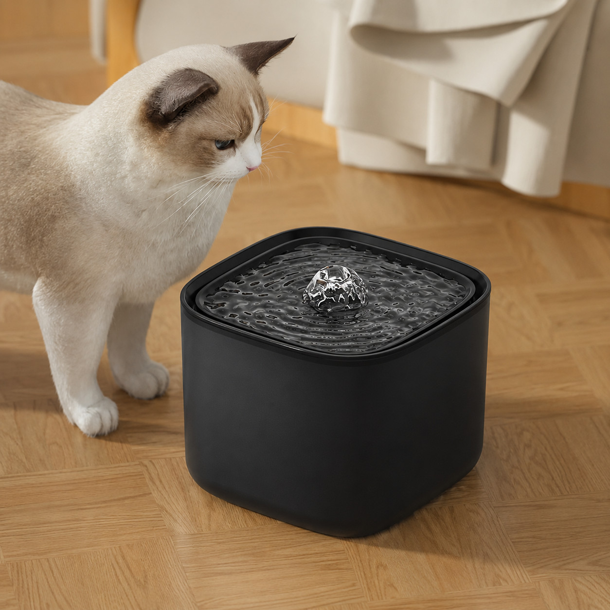 Eine Katze blickt auf einen schwarzen Wasserspender auf einem Holzfußboden.
