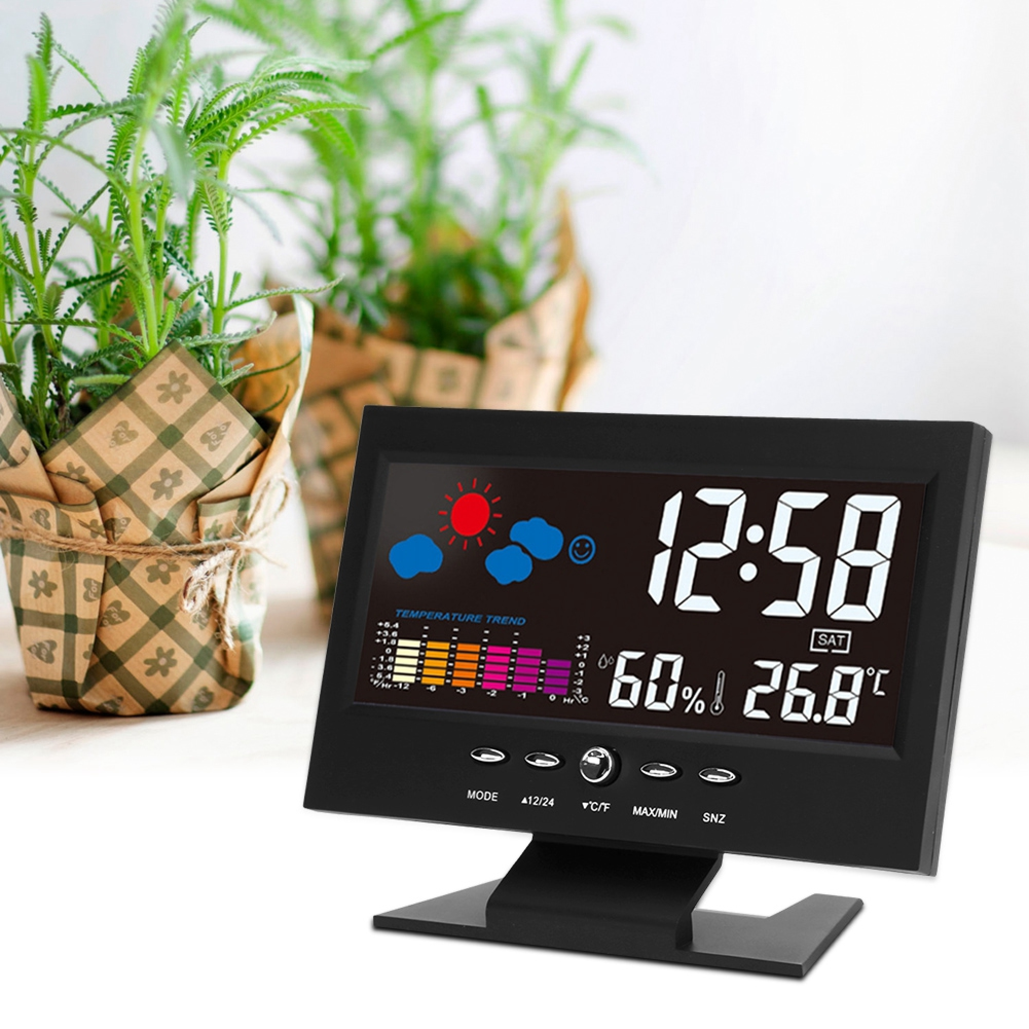 Ein schwarzer Digitalwecker mit Wetteranzeige, Temperatur und Luftfeuchtigkeit steht vor grünen Pflanzen.