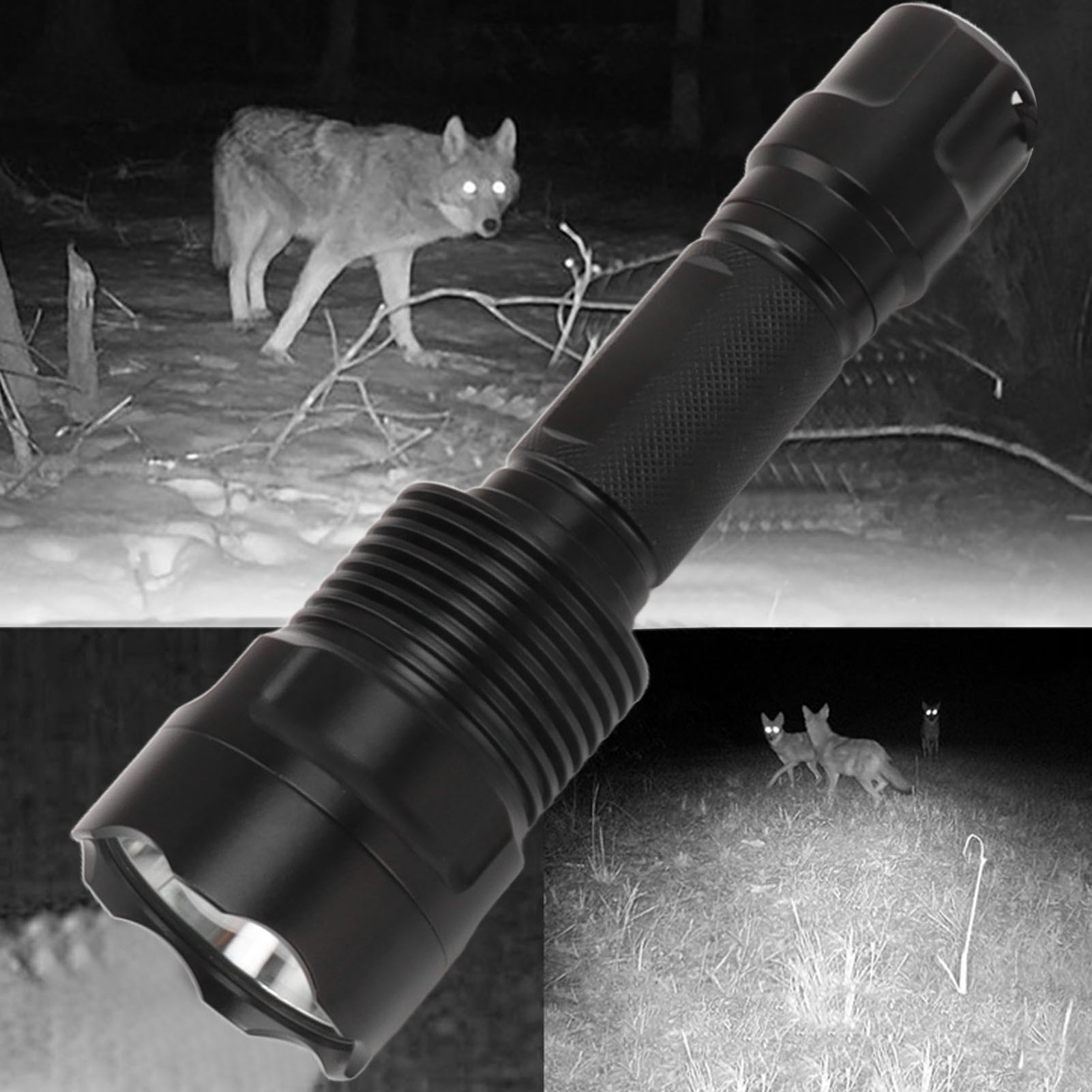 Eine schwarze Taschenlampe im Vordergrund, im Hintergrund sind Wölfe nachts in der Wildnis zu sehen.