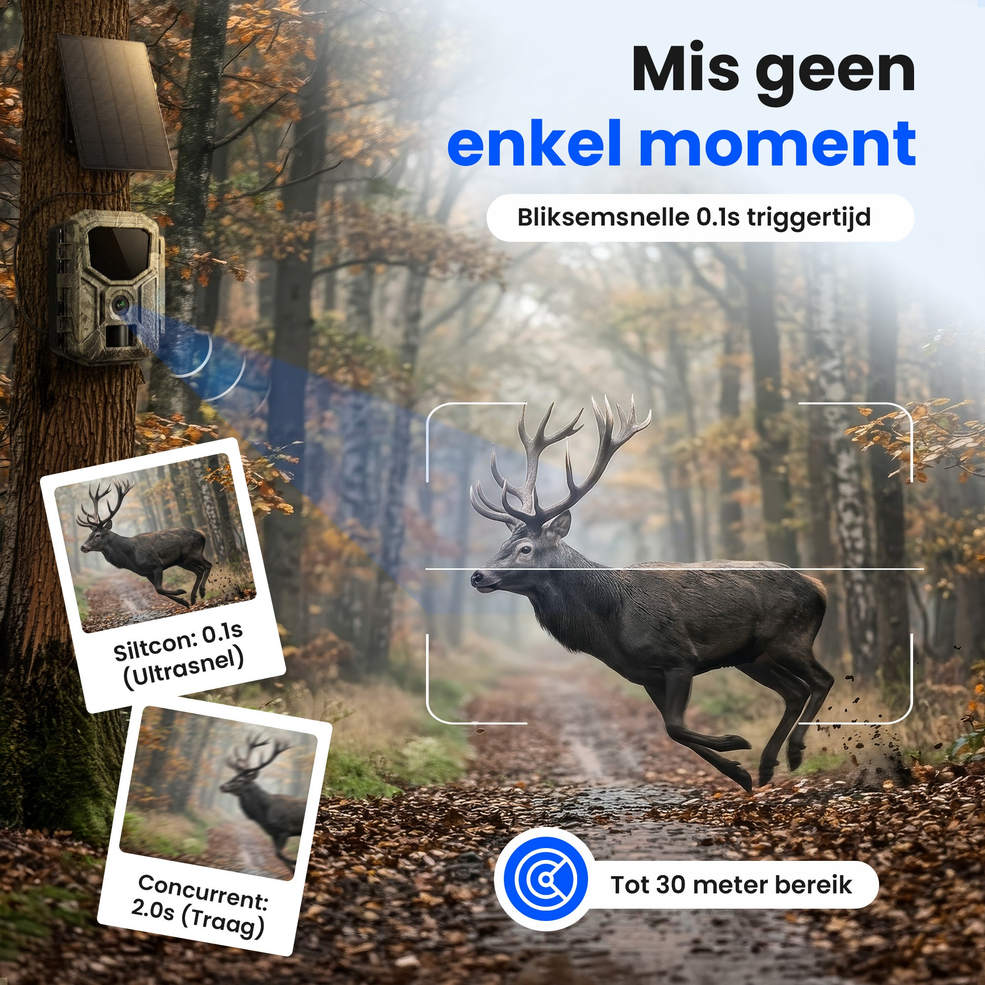 Wildcamera aan een boom in herfstbos legt springend hert met groot gewei vast.