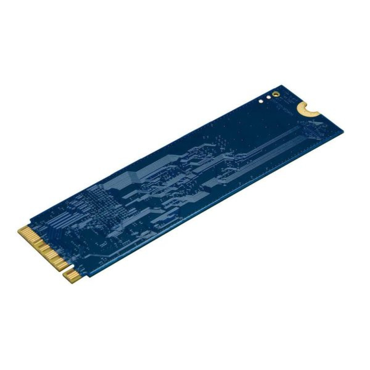 Beyaz arkaplanda altın renkli temas pinleri ve devre yolları olan mavi M.2 SSD kartı.