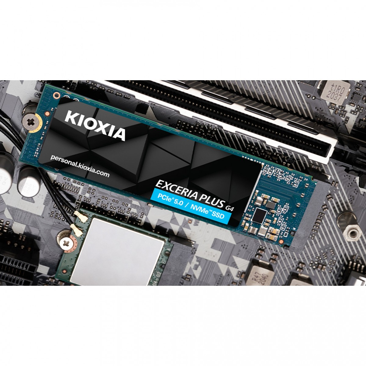 Siyah bir anakart üzerine kurulu bir Kioxia Exceria Plus G4 NVMe SSD.