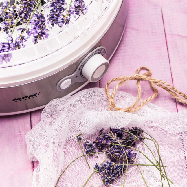 Un deshidratador de alimentos con lavanda fresca arriba y ramitas de lavanda sueltas en una bolsa blanca al lado.