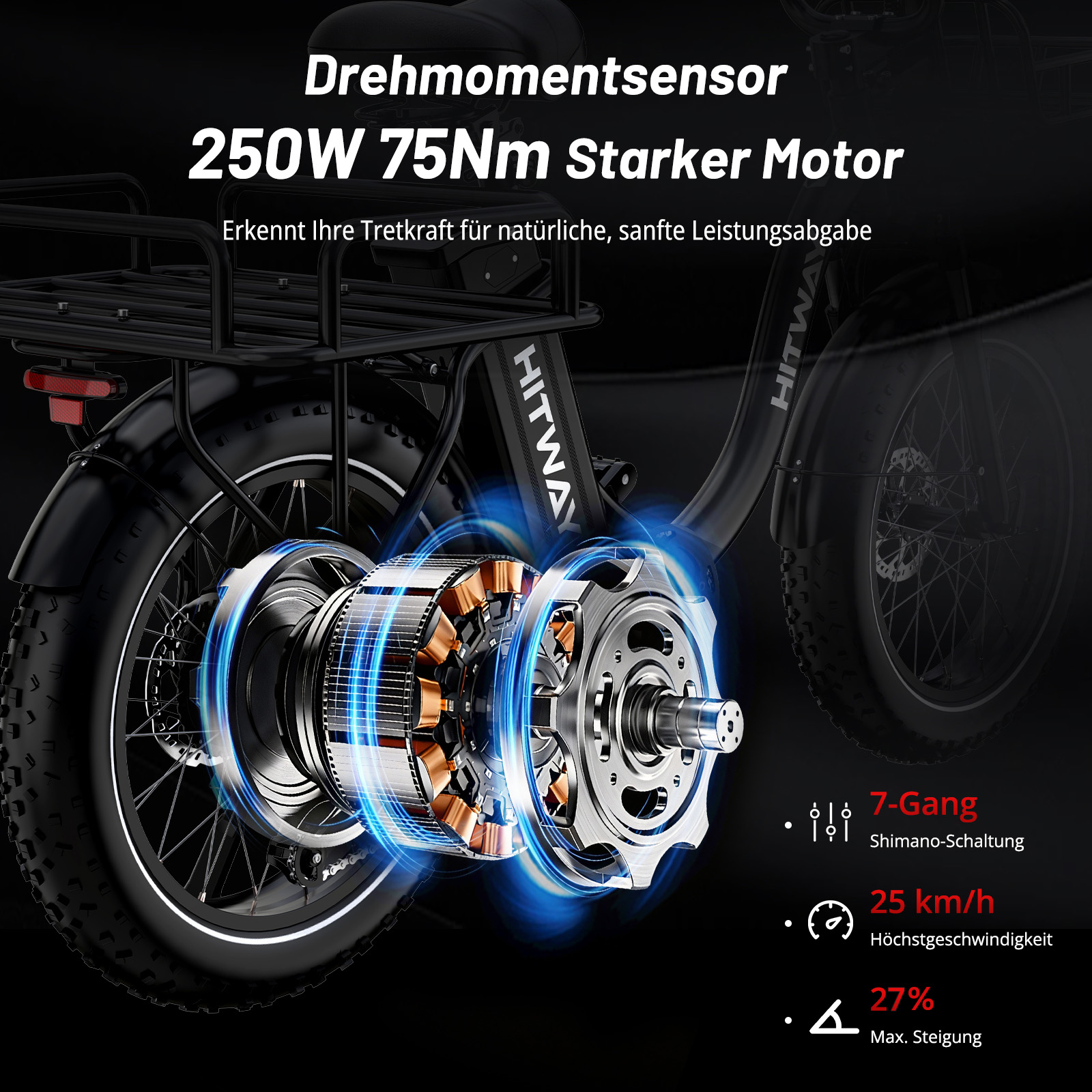 E-Bike Motor mit 250W und 75Nm, Drehmomentsensor, 7-Gang Shimano-Schaltung und 25 km/h Höchstgeschwindigkeit.