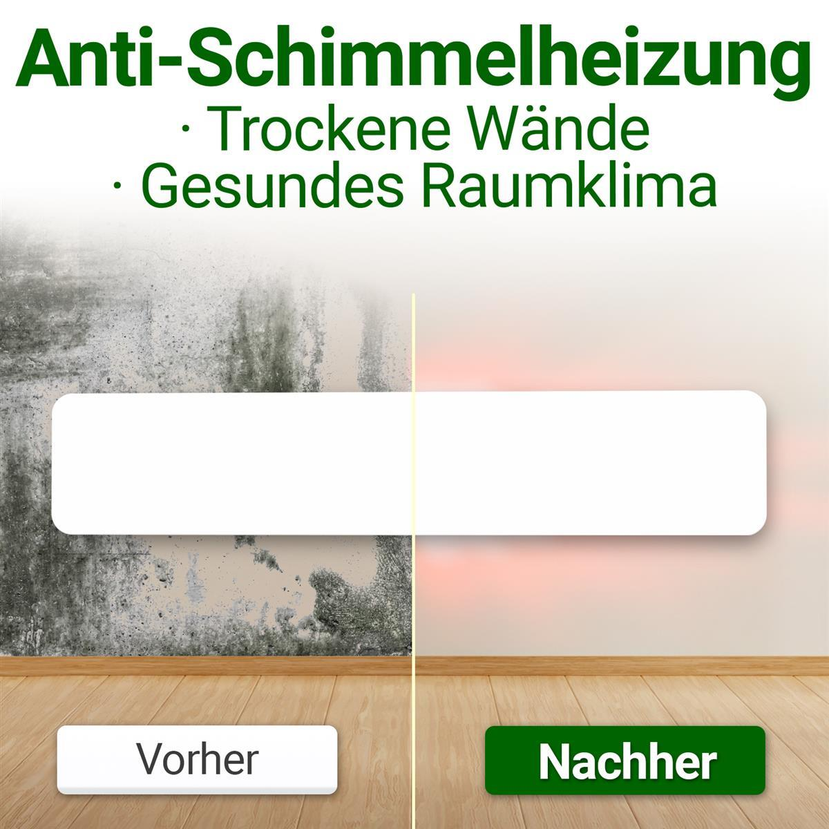 Vergleichsbild: Links eine schimmlige Wand mit dem Label Vorher, rechts eine saubere Wand mit Nachher.