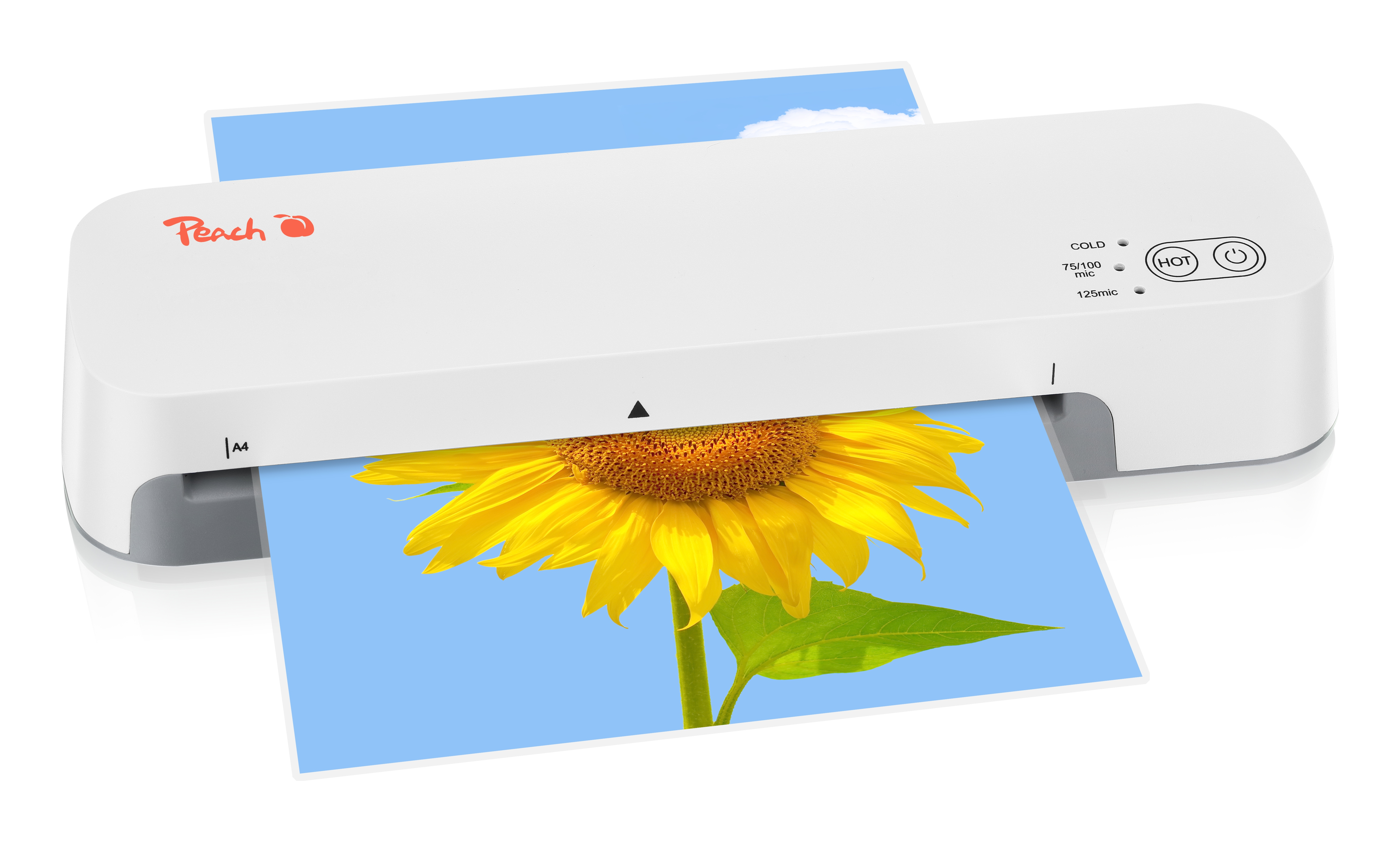 Ein weißes Laminiergerät der Marke Peach laminiert ein Papier mit Sonnenblumenmotiv.