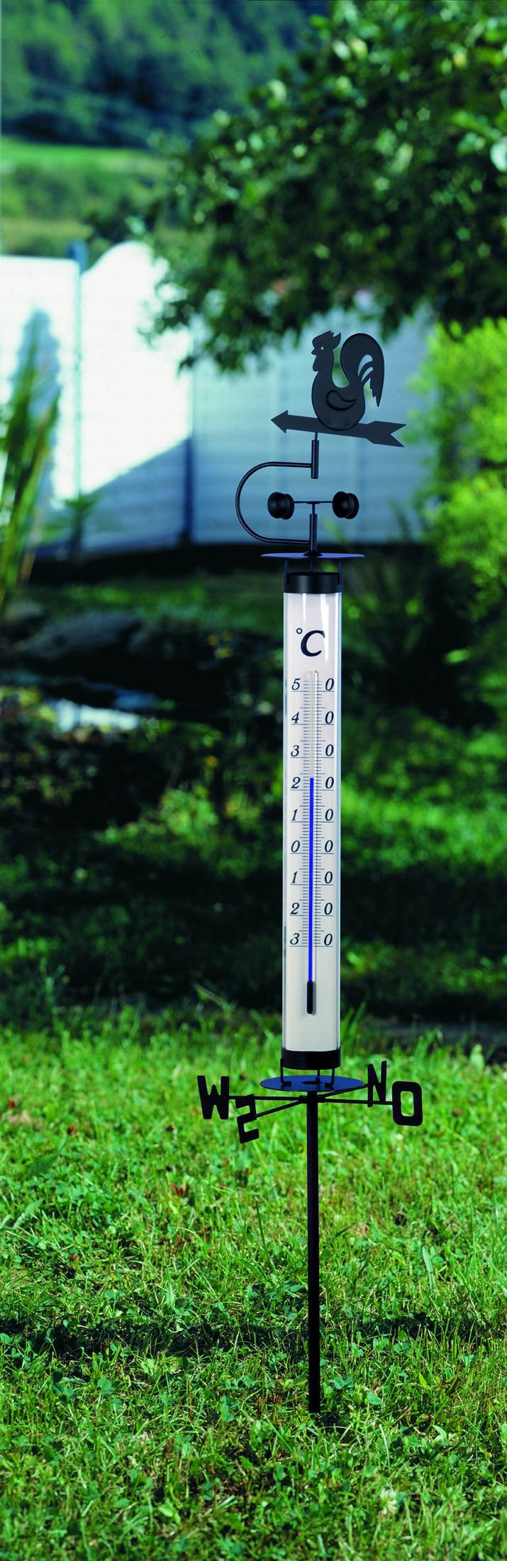 Wetterstation mit Thermometer, Windfahne und Anemometer auf einer grünen Wiese.