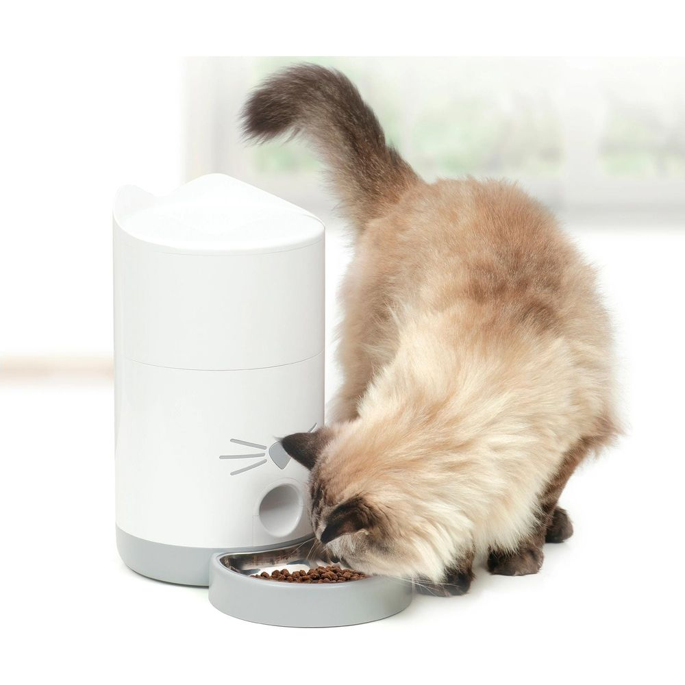 Eine flauschige Katze frisst Trockenfutter aus einer Metallschüssel neben einem weißen Futterautomaten.