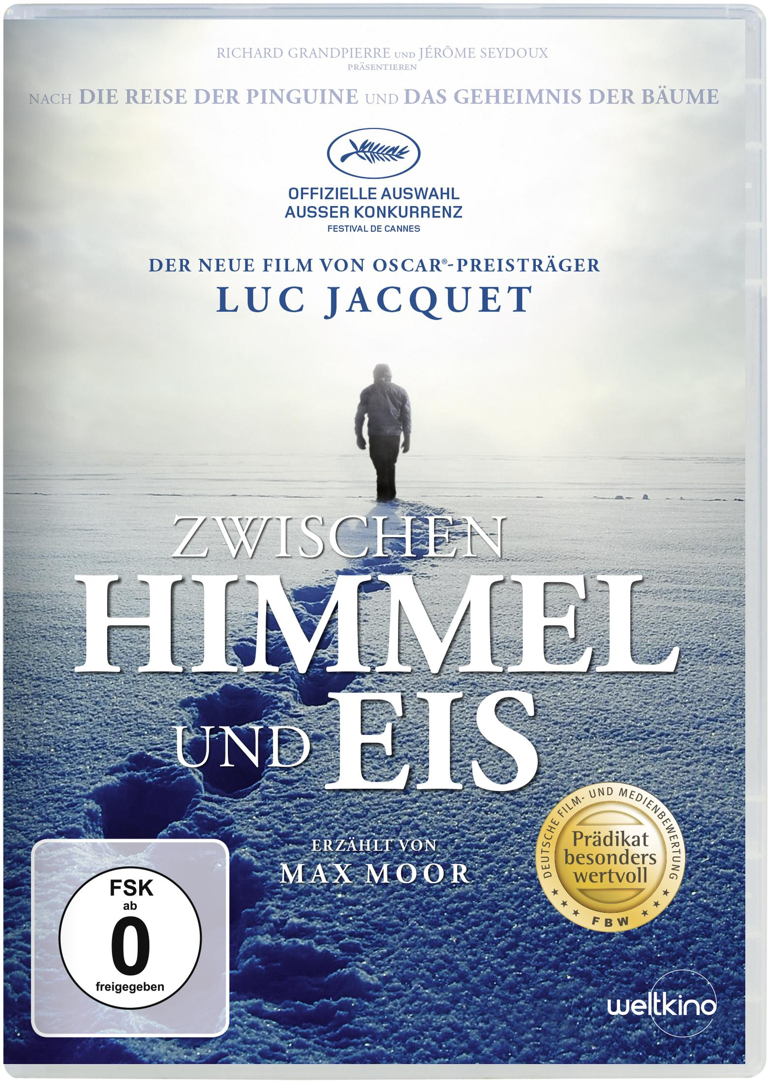 DVD-Cover von Zwischen Himmel und Eis mit einer Person im Schnee.