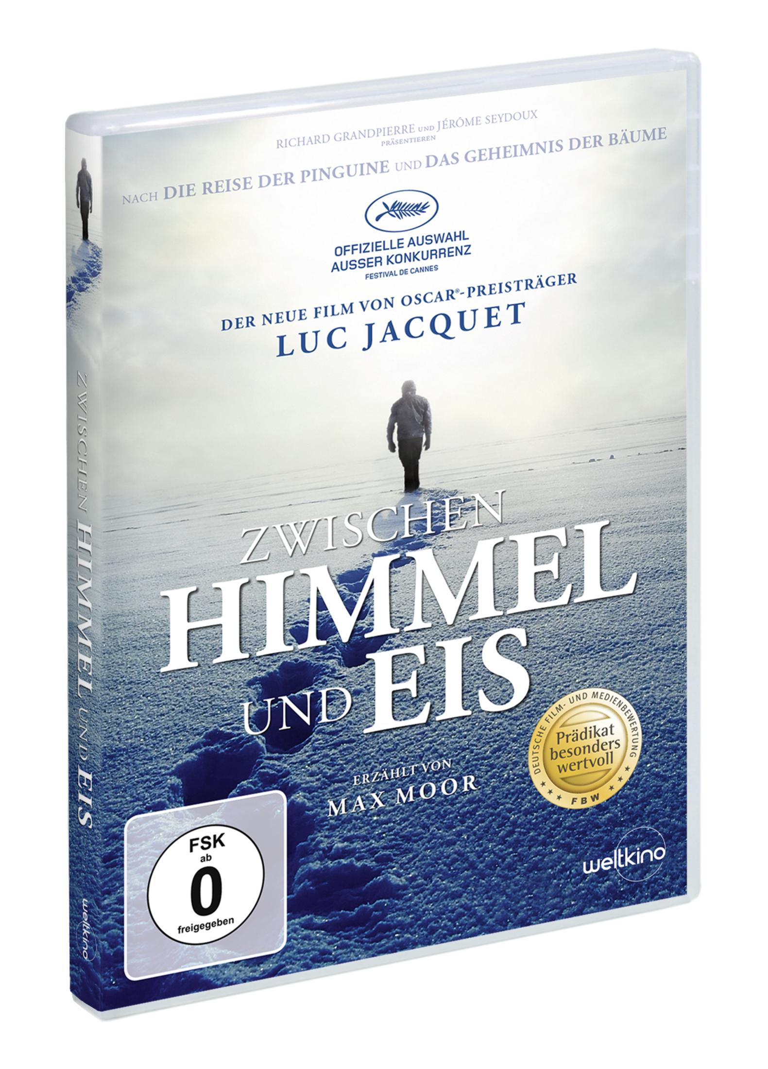 DVD-Cover des Films "Zwischen Himmel und Eis" mit einer Person in einer Schneelandschaft unter bewölktem Himmel.