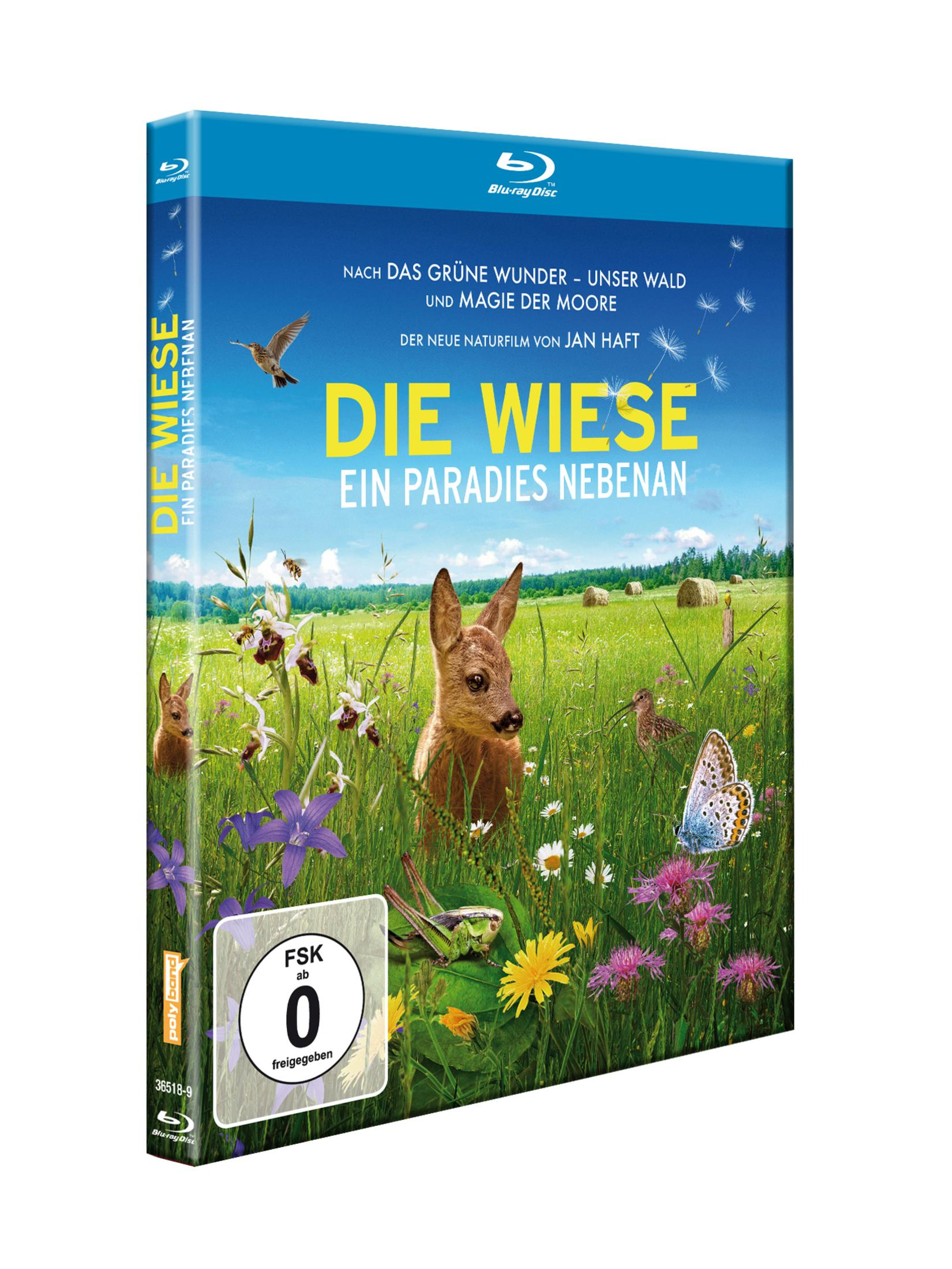 Eine Blu-ray Hülle der Naturdoku Die Wiese mit einem Rehbock in einer bunten Wiese mit Blumen und Tieren.