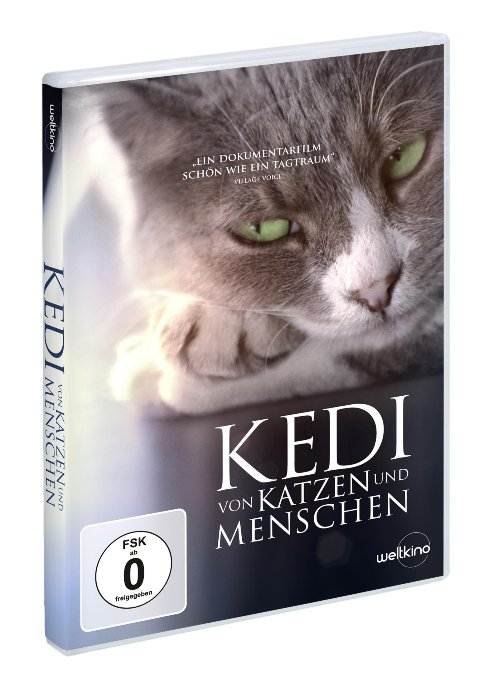 DVD-Hülle des Films Kedi von Katzen und Menschen mit einer grauen Katze und grünen Augen auf dem Cover.
