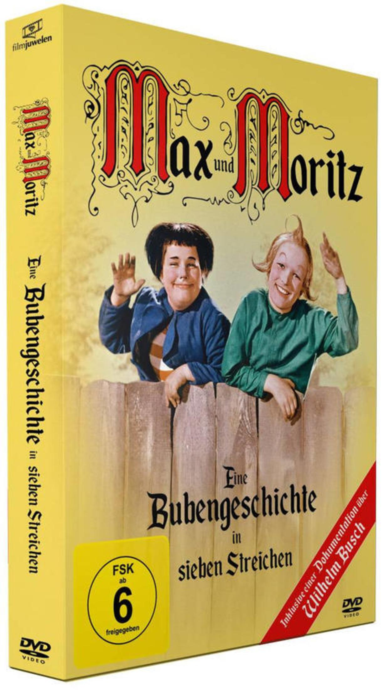 DVD-Cover von Max und Moritz, zeigt zwei Jungen hinter einem Holzzaun vor gelbem Hintergrund.