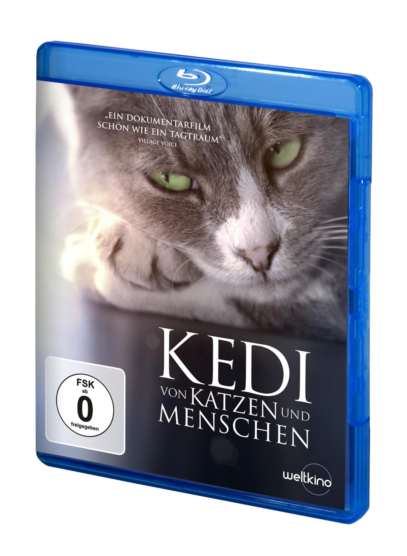Blu-ray Hülle des Films Kedi von Katzen und Menschen mit einer grau-weißen Katze und grünen Augen.