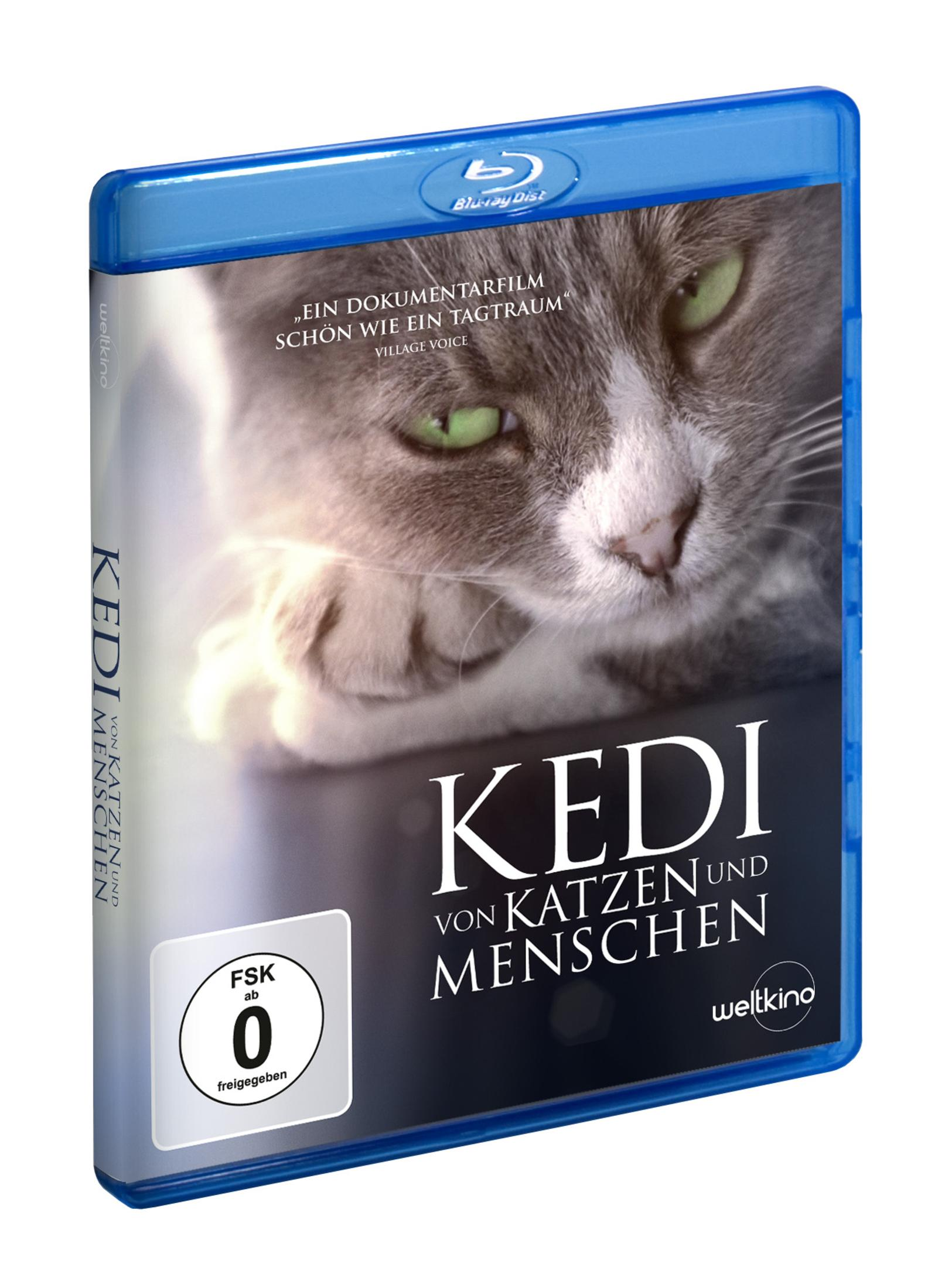 Blu-ray-Hülle für 'Kedi - Von Katzen und Menschen' mit einer grau-weißen Katze mit grünen Augen.