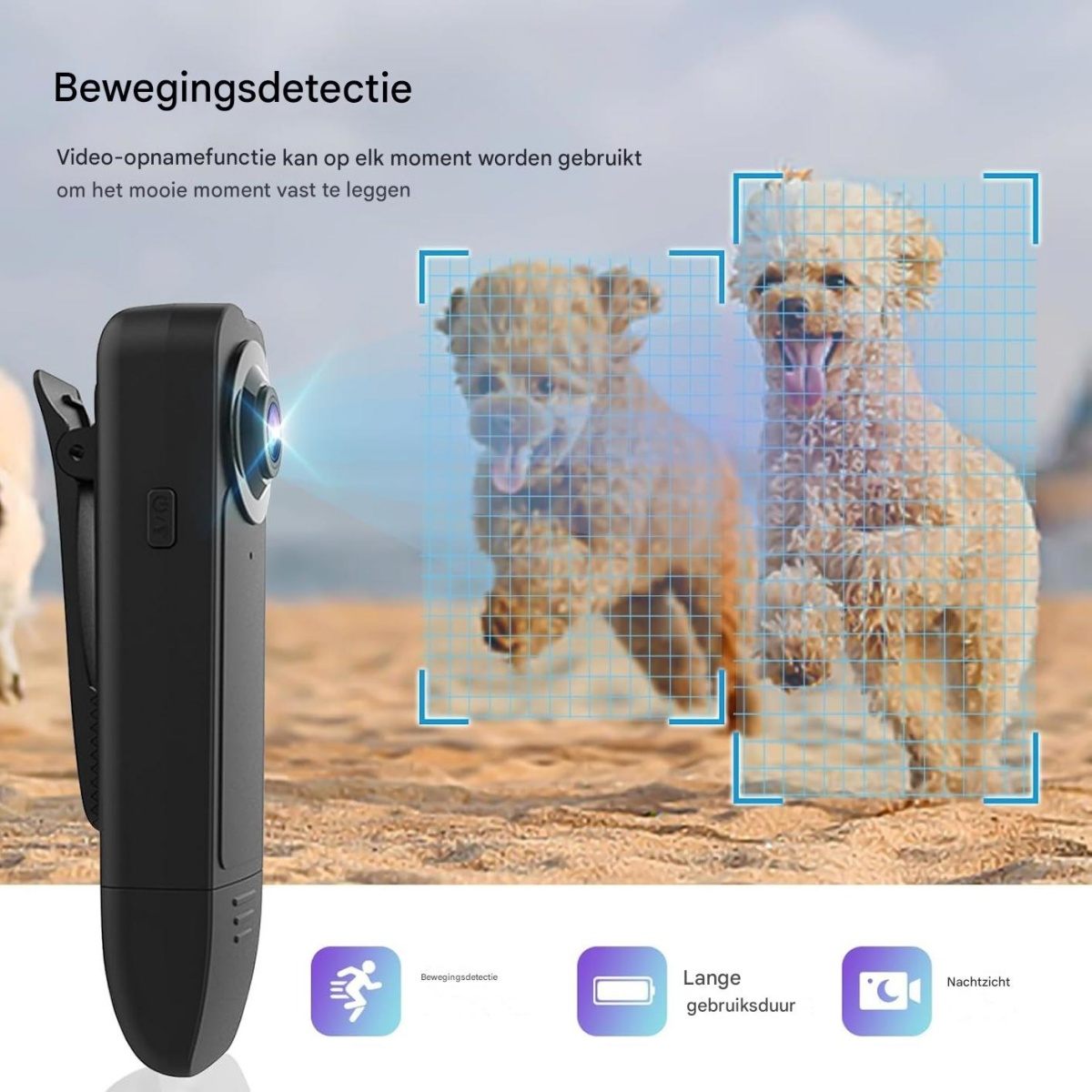Schwarze Mini-Kamera mit Clip erfasst zwei rennende Pudel mit blauen Fokusgittern.