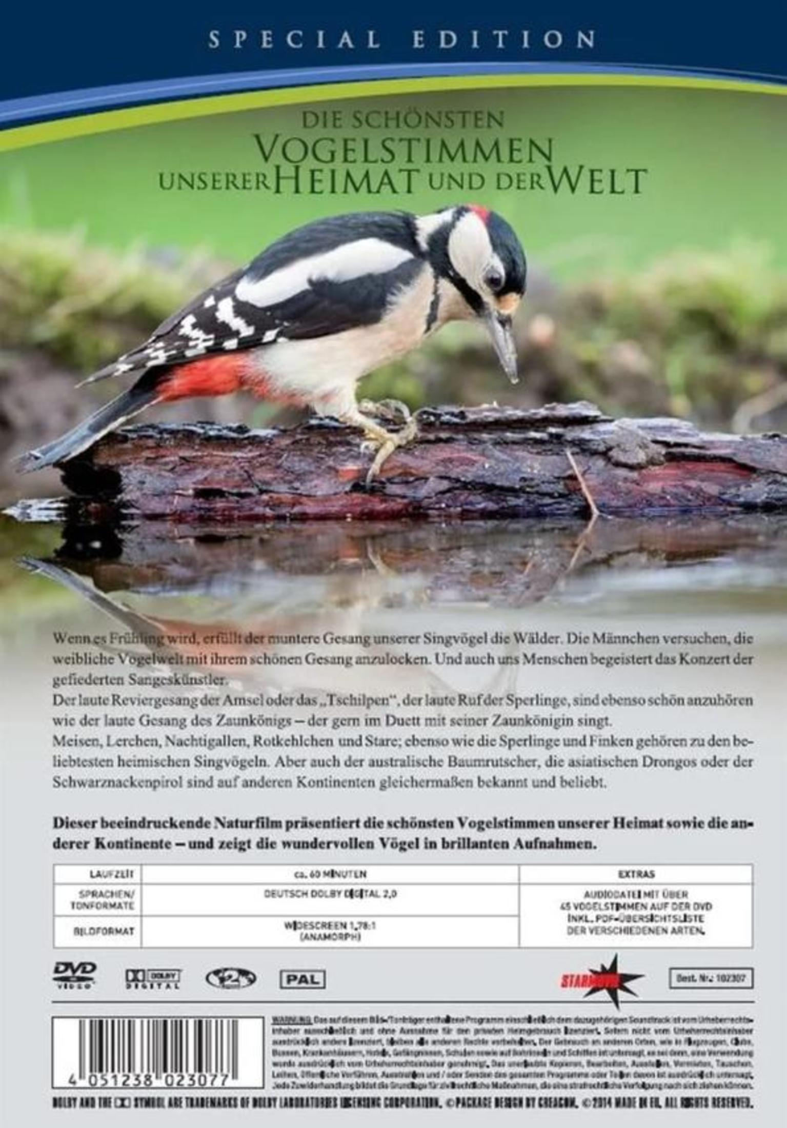 DVD-Cover zeigt einen Buntspecht auf einem Ast über Wasser vor einem Text- und Infohintergrund.