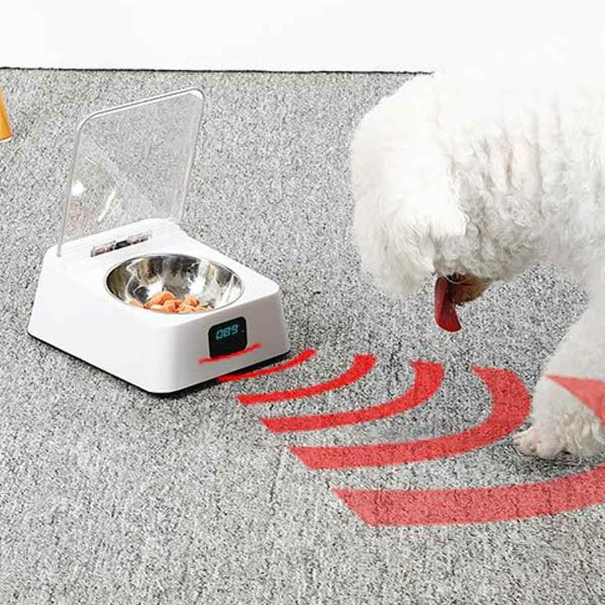 Ein weißer Hund nähert sich einem automatischen Fressnapf mit digitaler Anzeige und Sensor-Wellen.