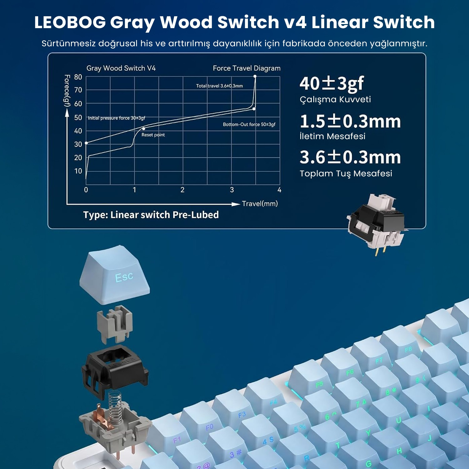 Bir klavyenin üzerinde LEOBOG Gray Wood mekanik anahtarın şeması ve patlatılmış görünümü.