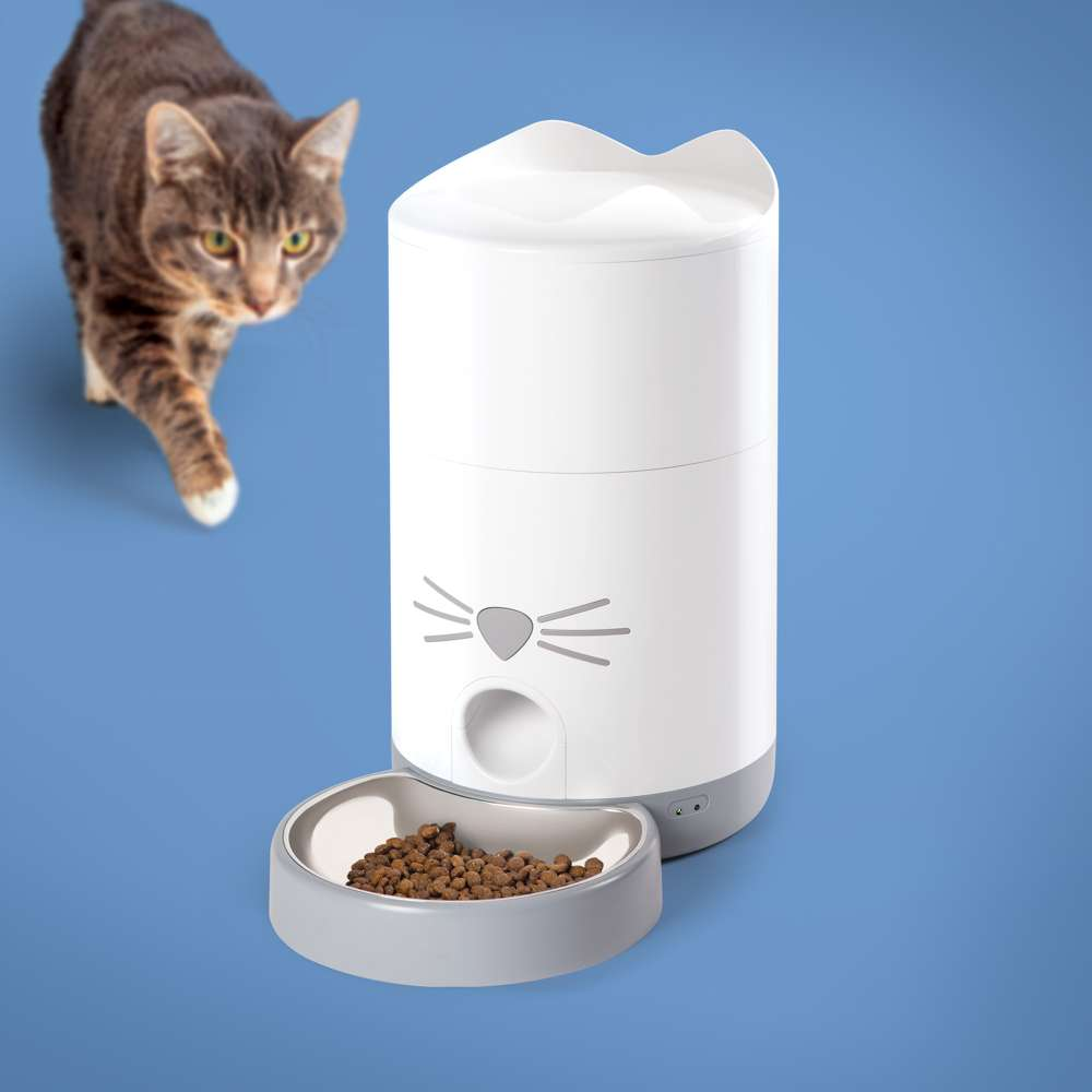 Eine getigerte Katze läuft auf blauem Hintergrund auf einen weißen, katzenförmigen Futterautomaten mit Trockenfutter zu.