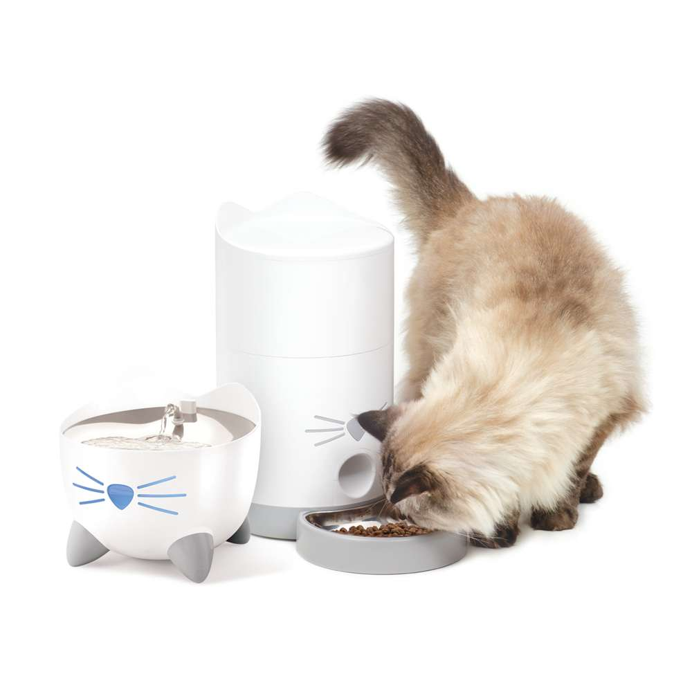 Eine flauschige Katze frisst aus einem automatischen Napf neben einem Katzenbrunnen auf weißem Hintergrund.