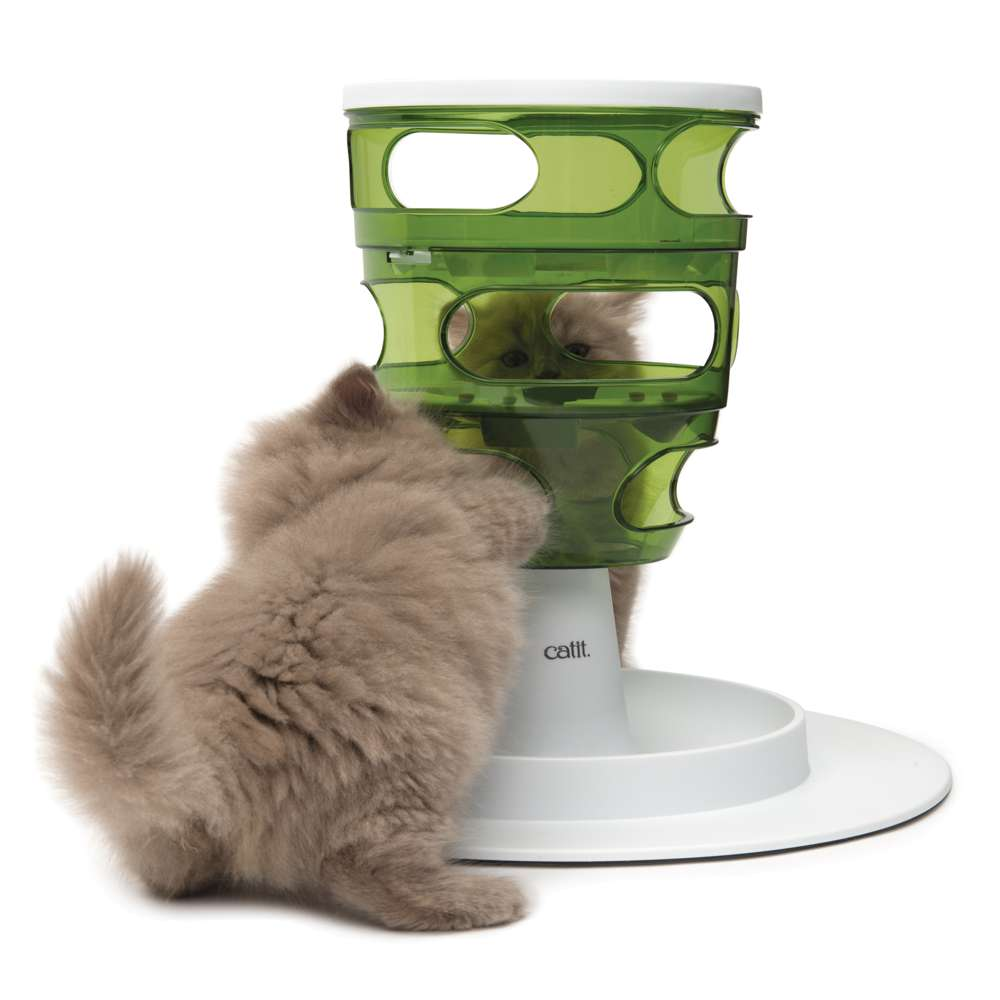 Dos gatitos peludos juegan con un juguete verde y blanco sobre un fondo blanco.