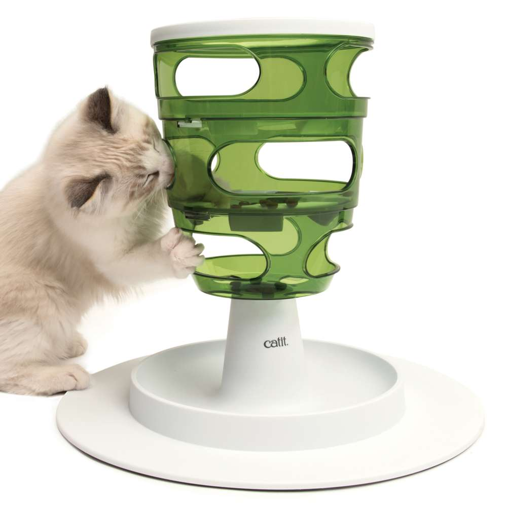 Un gatito peludo alcanza el interior de un juguete interactivo verde y blanco.