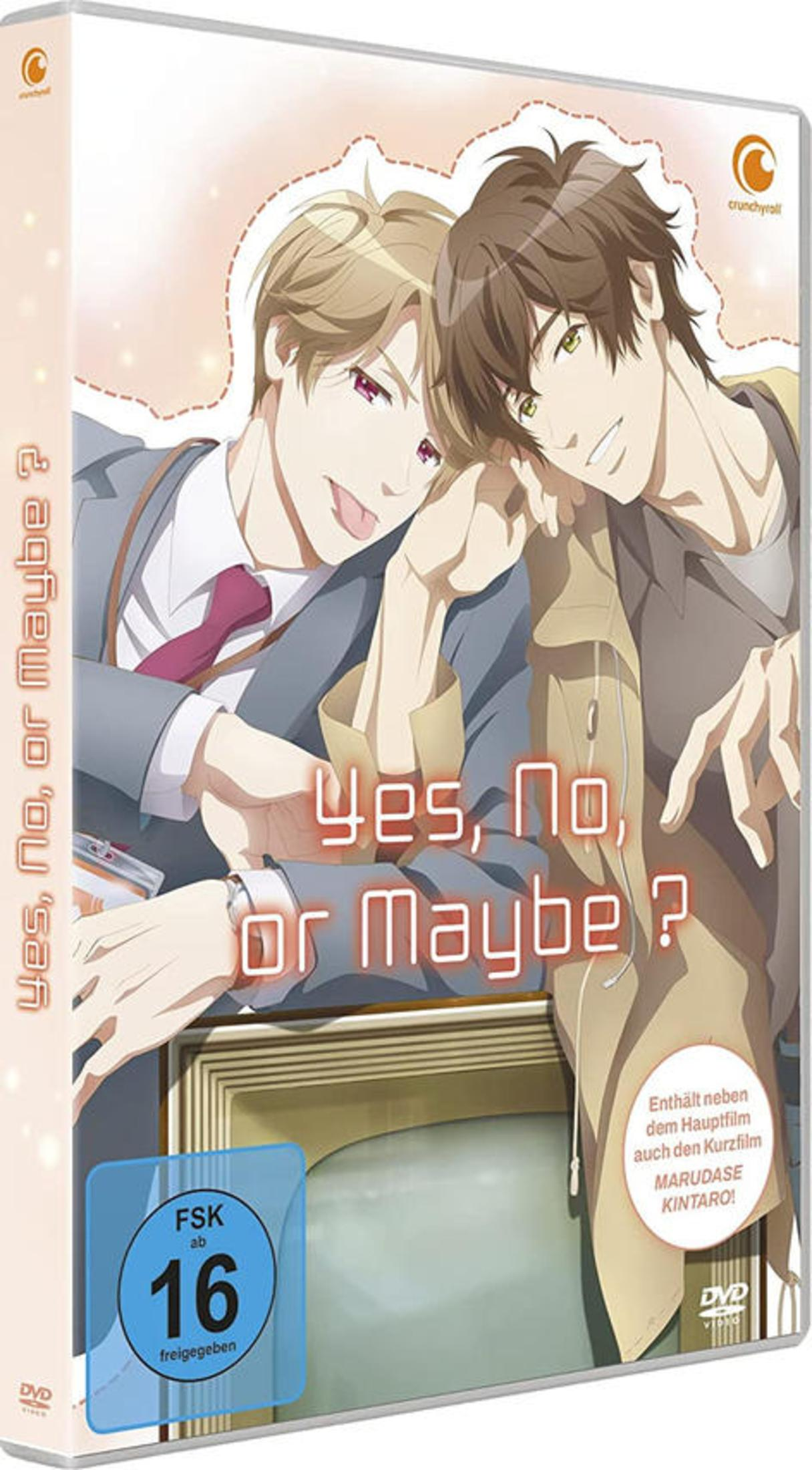 DVD-Cover des Animes Yes, No, or Maybe? mit zwei lächelnden jungen Männern.