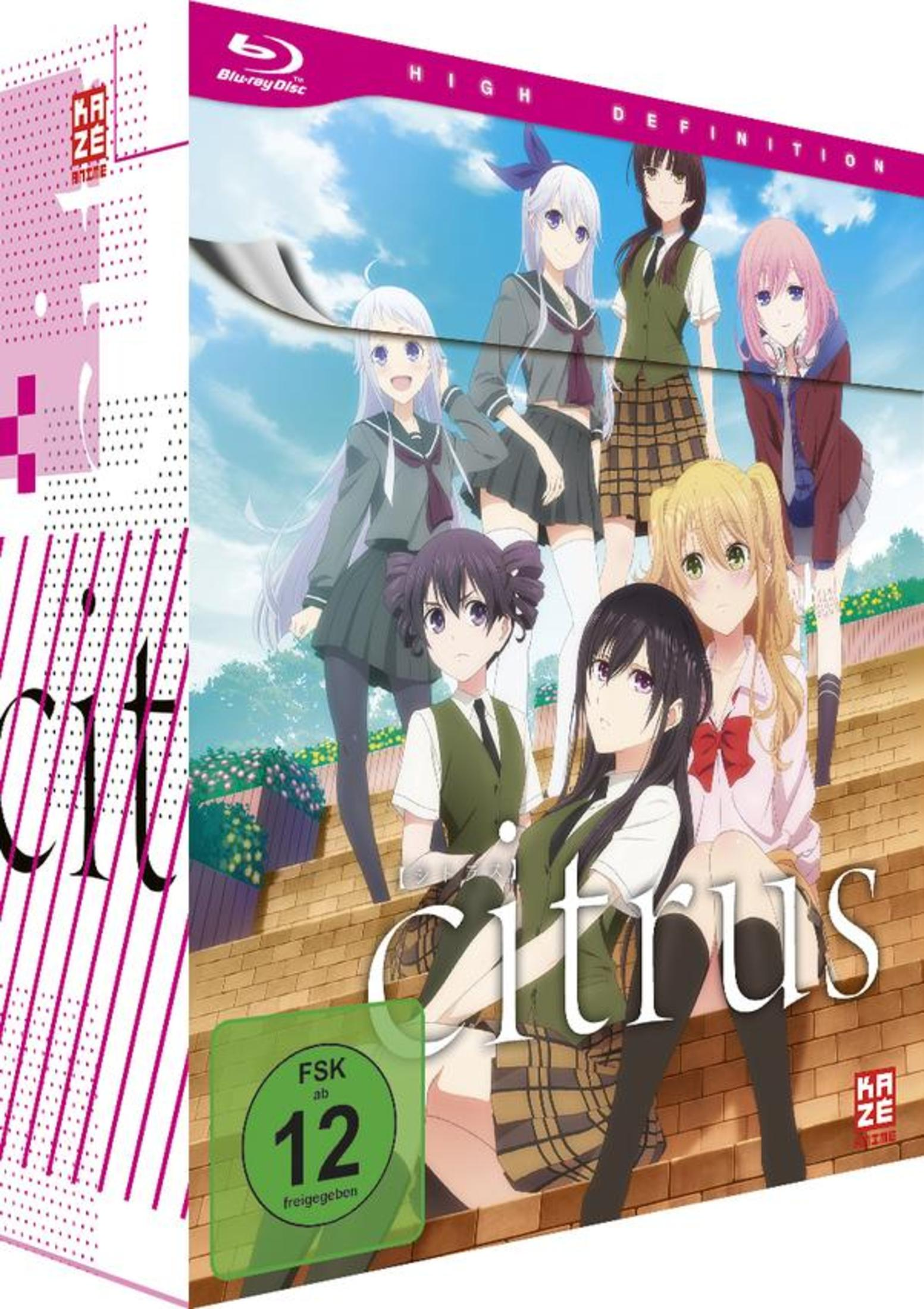 Anime-Box-Art zeigt sechs weibliche Charaktere in Schuluniformen auf einer Ziegeltreppe vor blauem Himmel.